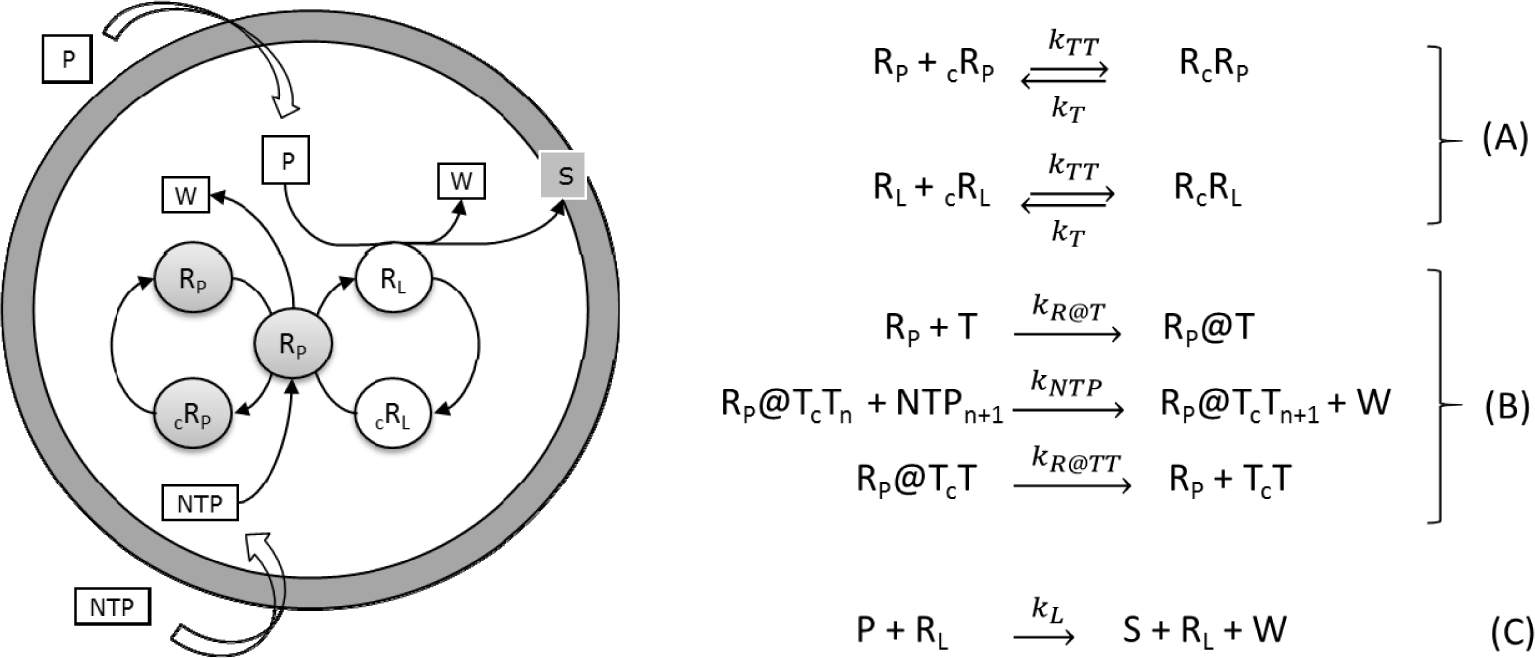 Entropy 16 02488f9 1024