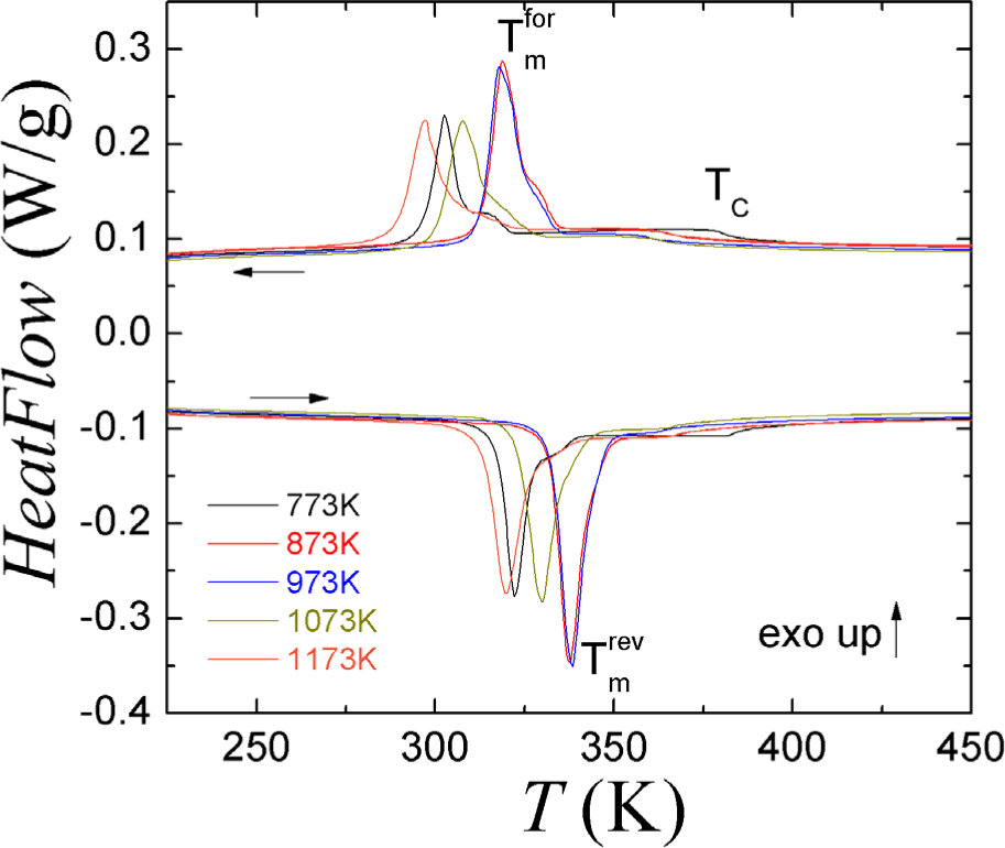 2024年ファッション福袋 Long-Range Atomic Order and Entropy Change at the コスプレウィッグ