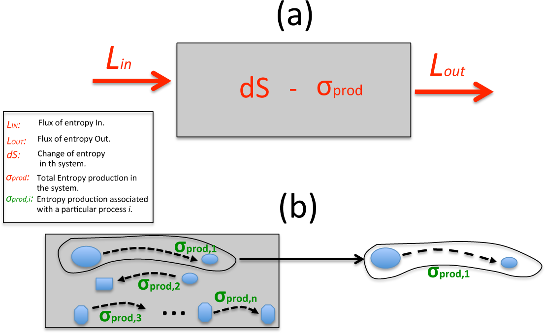 Entropy 16 03482f3 1024