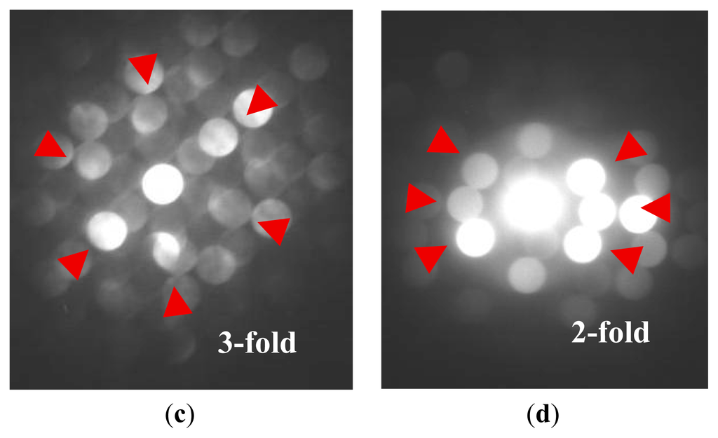 Multicomponent and High Entropy Alloys