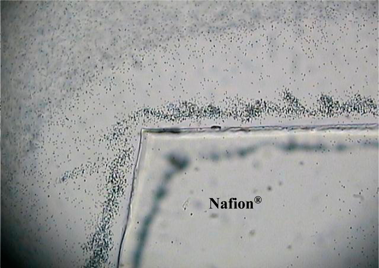 Entropy 16 05954f11 1024