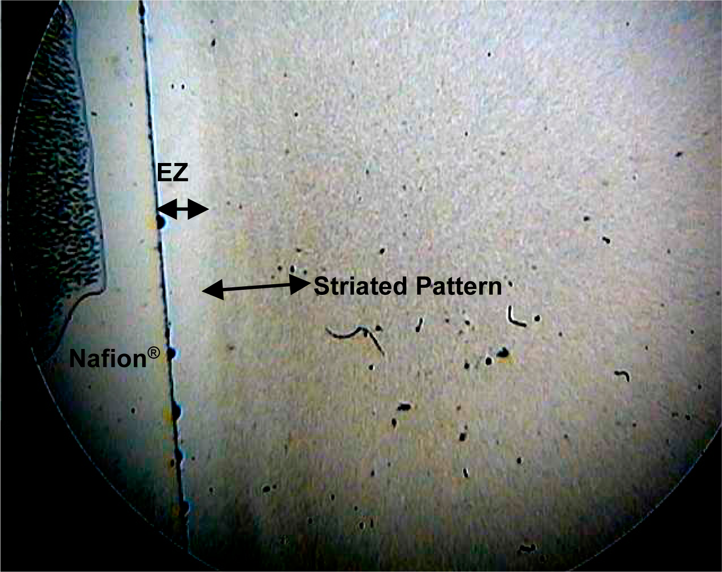 Entropy 16 05954f4 1024