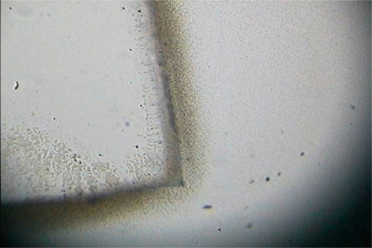 Entropy 16 05954f5 1024