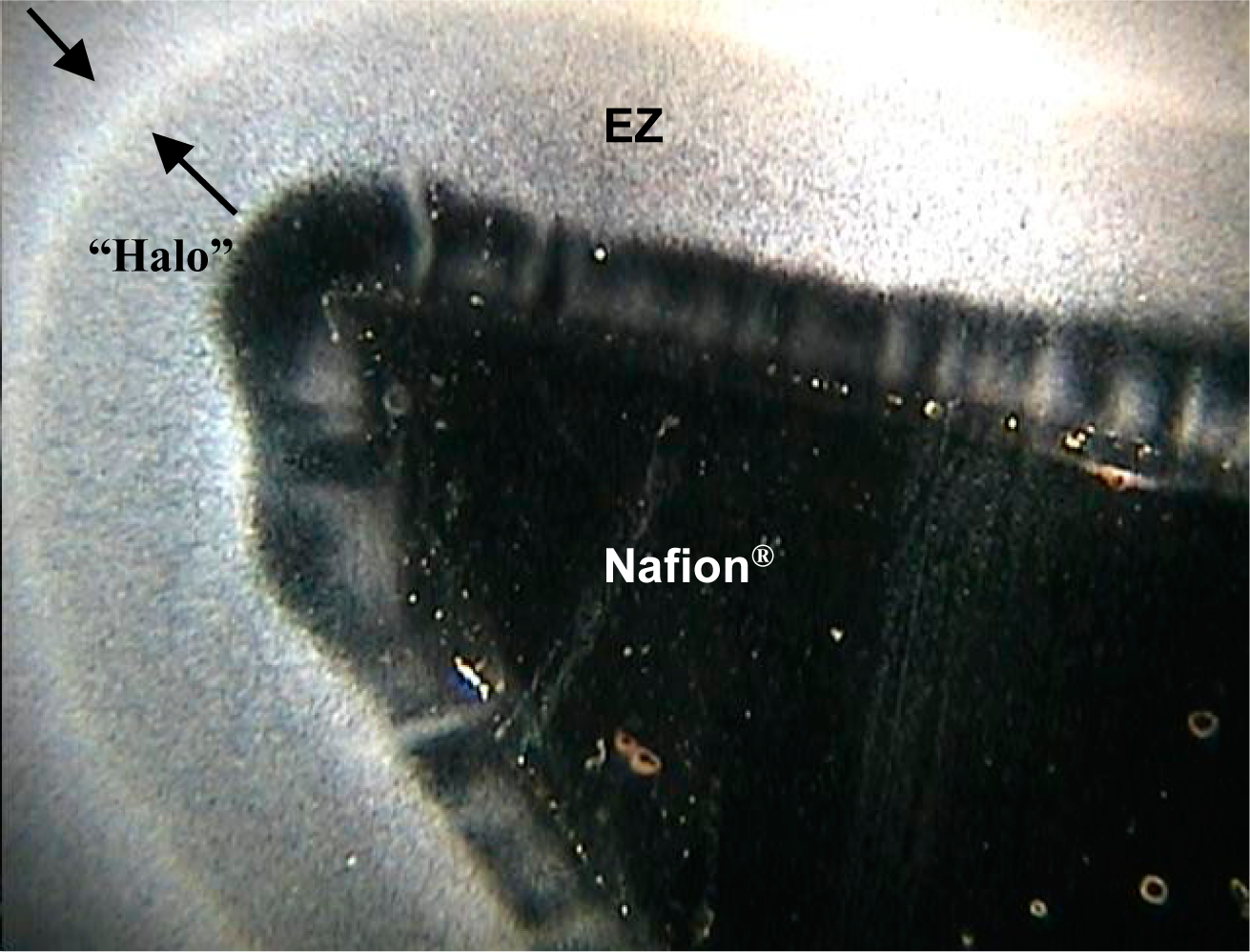 Entropy 16 05954f9 1024