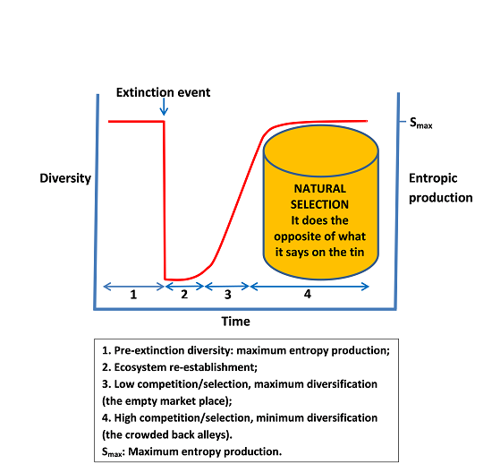 Entropy Free Full Text Life S A Gas A Thermodynamic Theory Of Biological Evolution Html