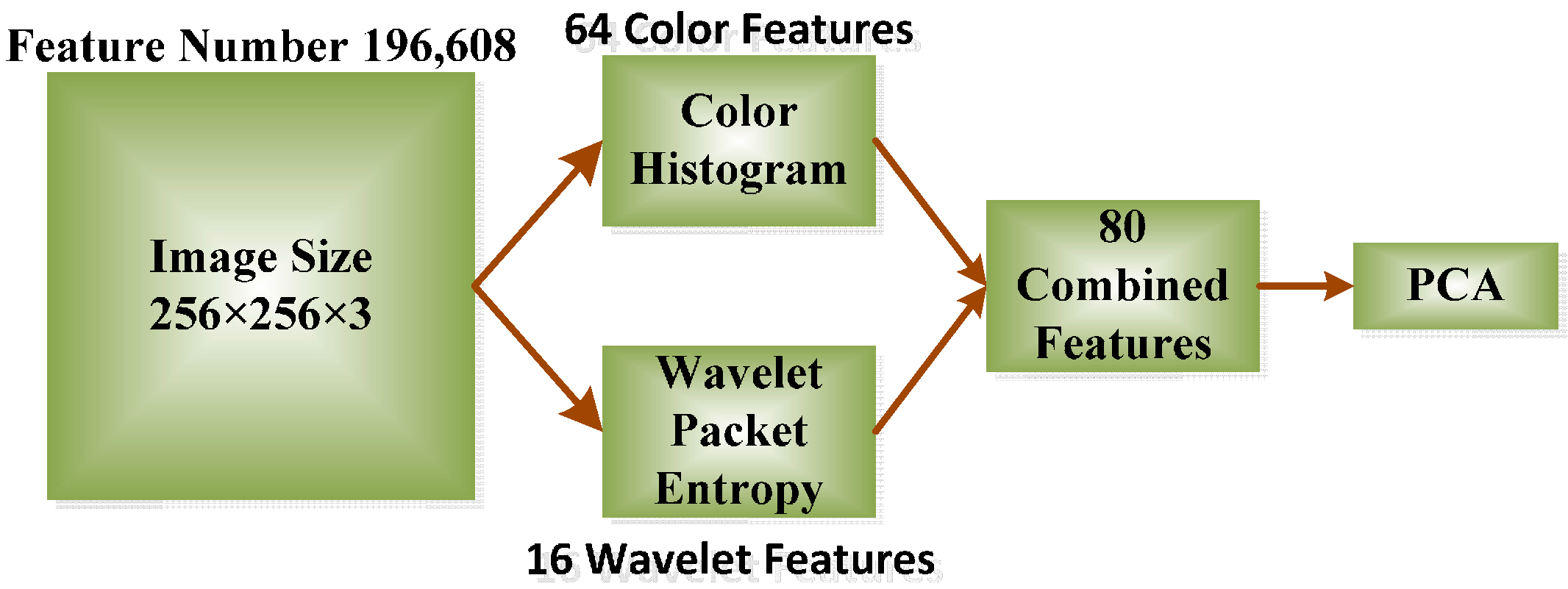 Entropy 17 06663 g002