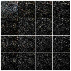 Entropy 17 06663 i012