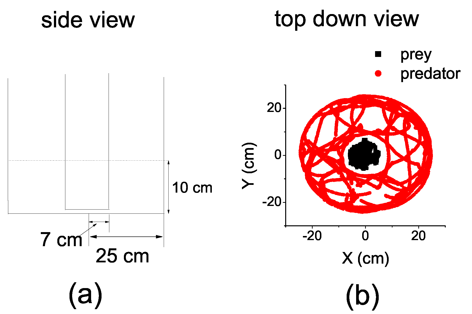 Entropy 17 07230 g001 1024