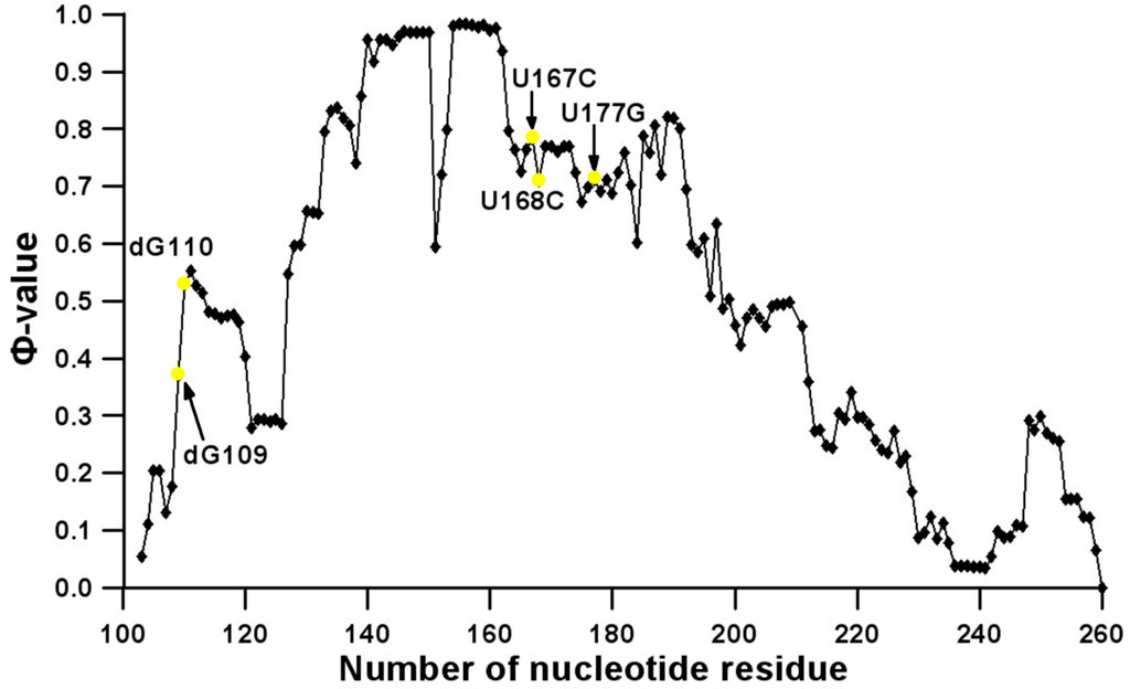 Entropy Free Full Text Theoretical Search For Rna Folding Nuclei Entropy Free Full Text Theoretical Search For Rna Folding Nuclei