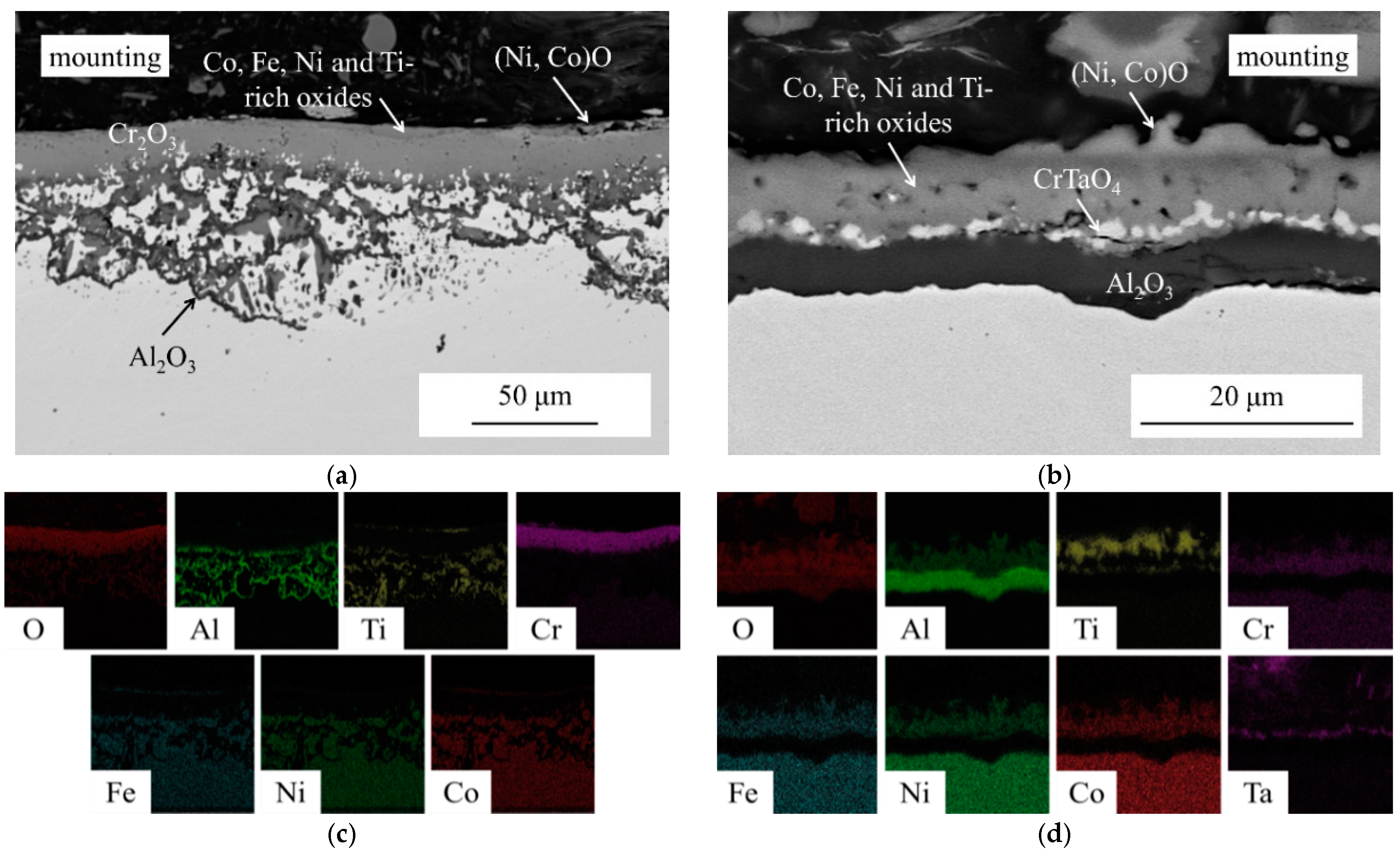 Entropy 18 00062 g005