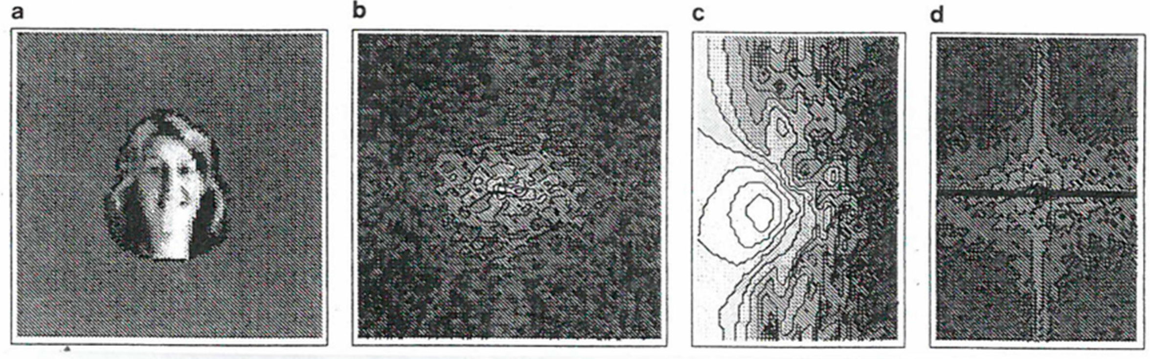 free verschrankte systeme die quantenphysik auf