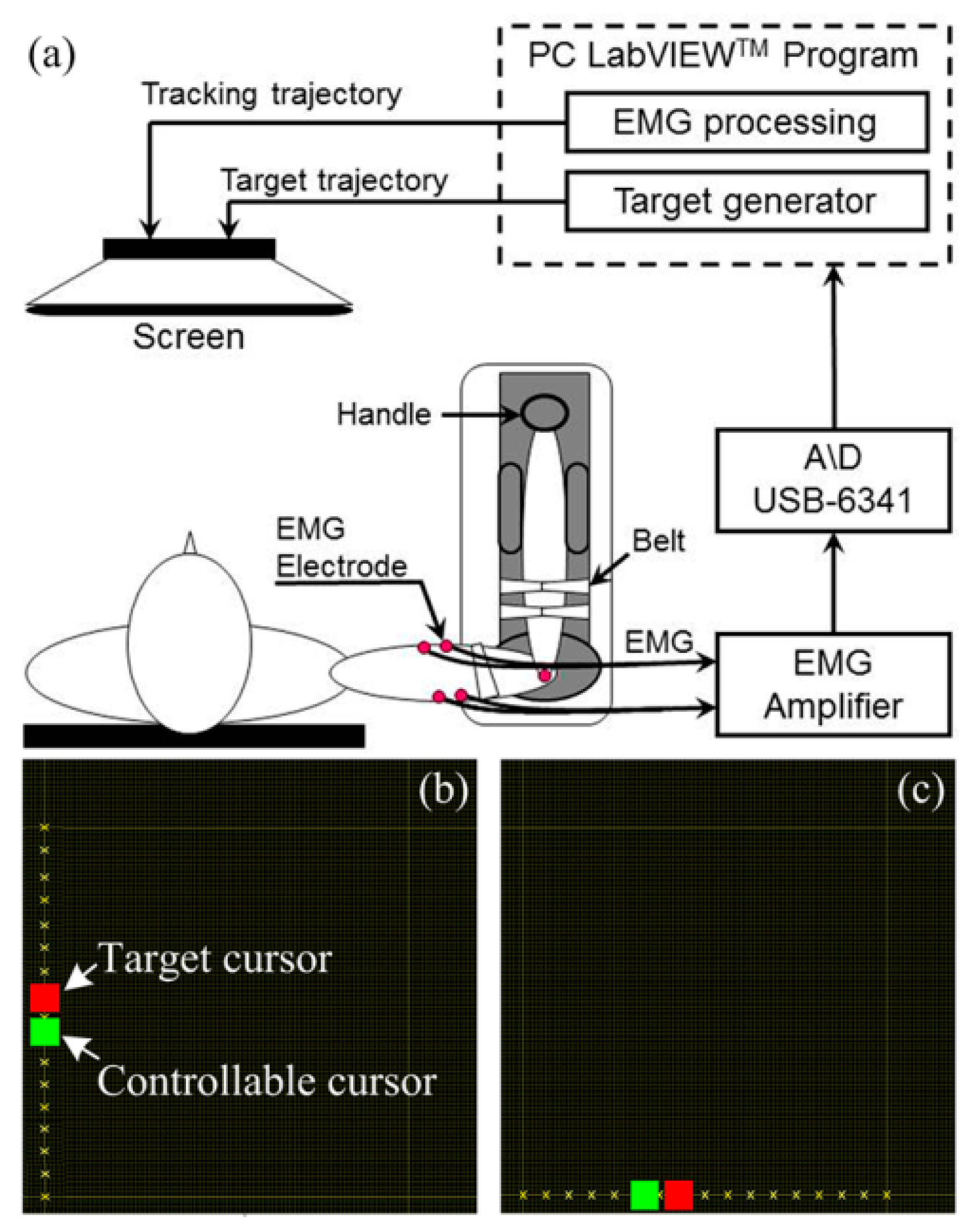 Entropy 18 00229 g001