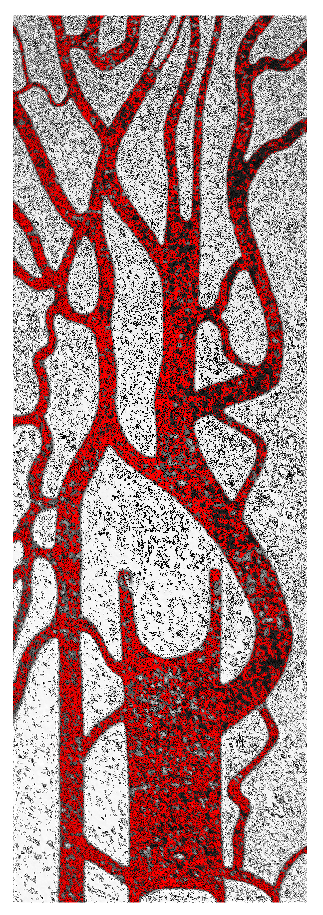 Entropy 18 00249 g001 1024