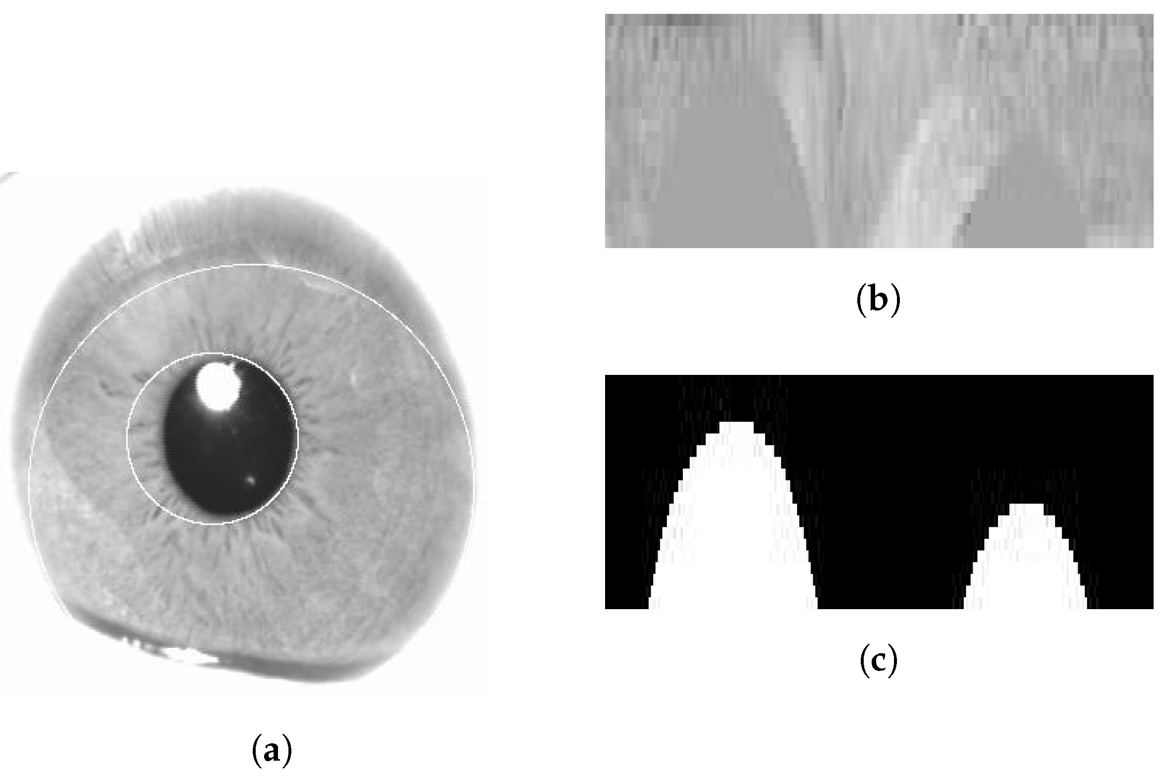 Entropy 19 00070 g002 550