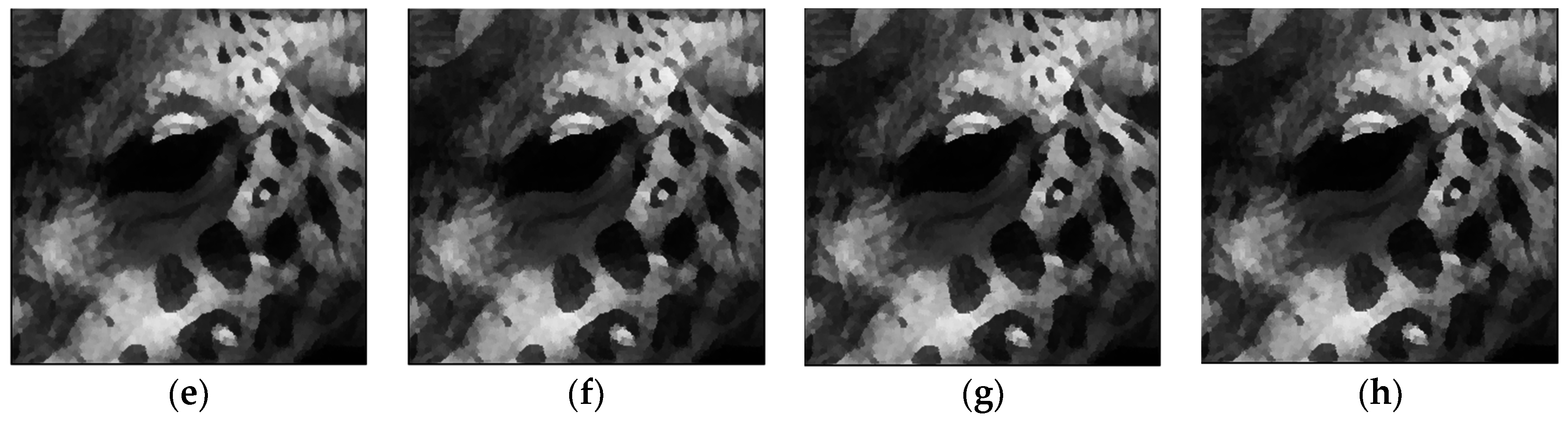 A Novel Framework for Shock Filter Using Partial Differential Equations