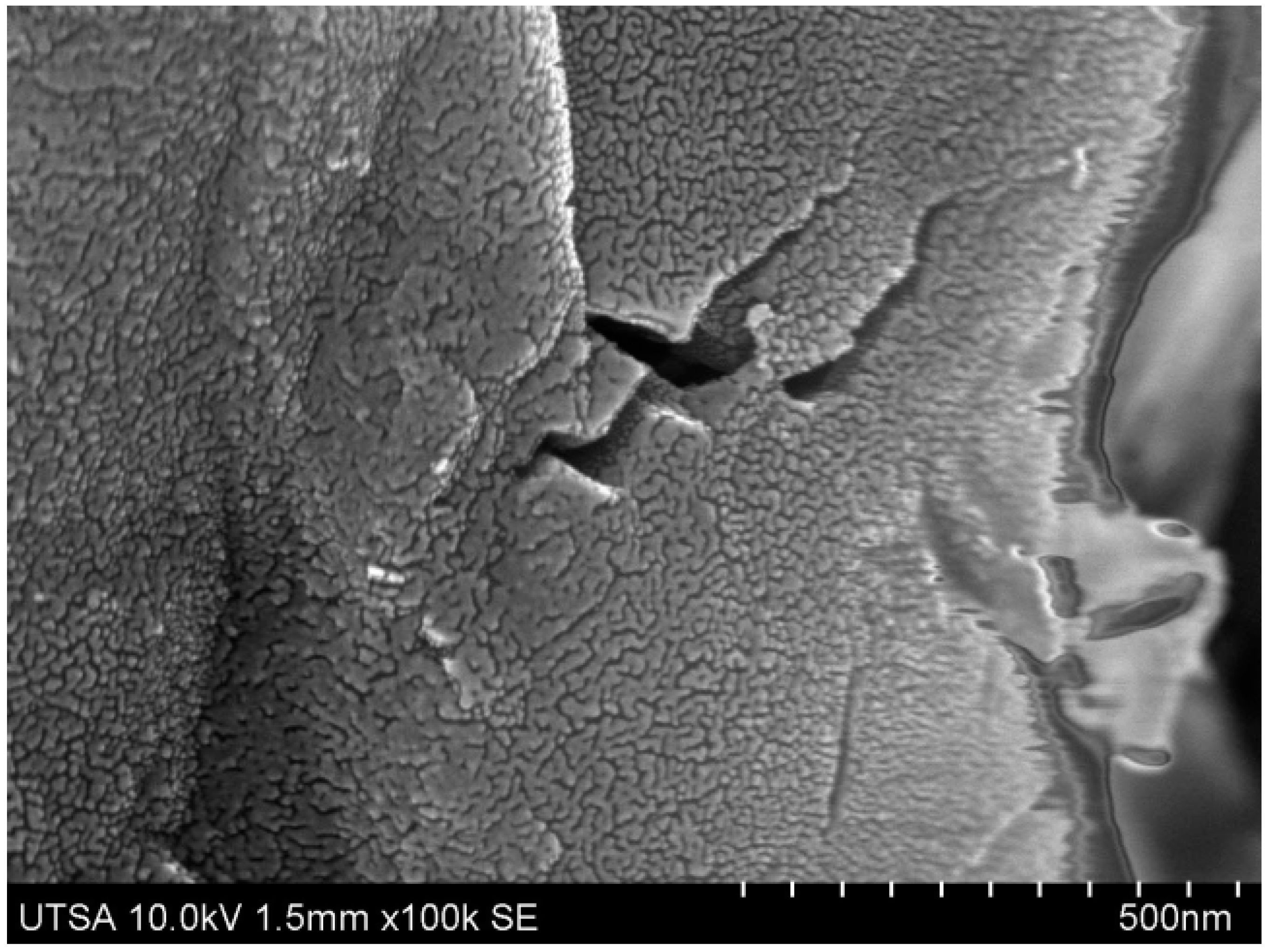 Entropy 19 00161 g004 550