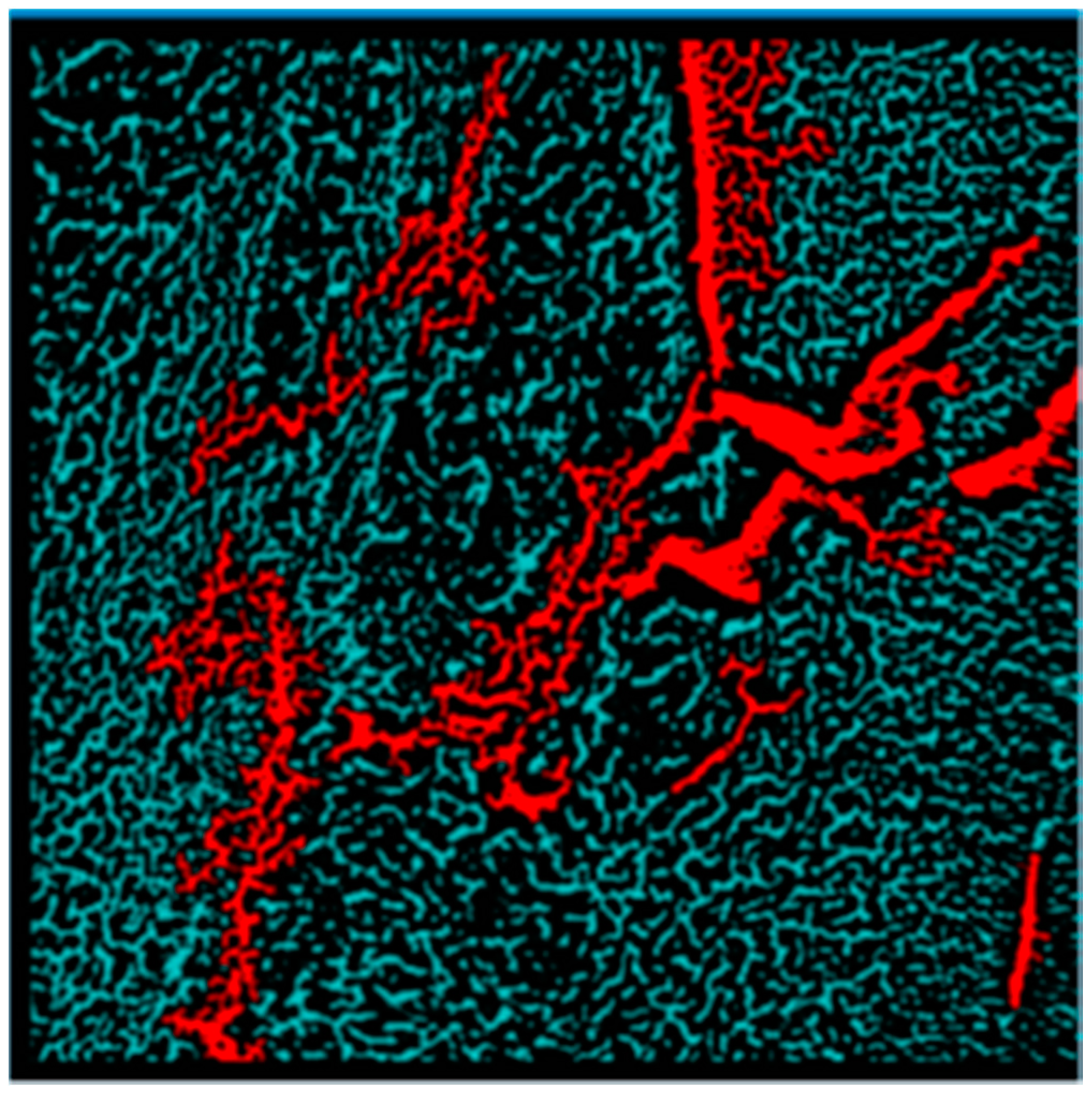 Entropy 19 00161 g005 550