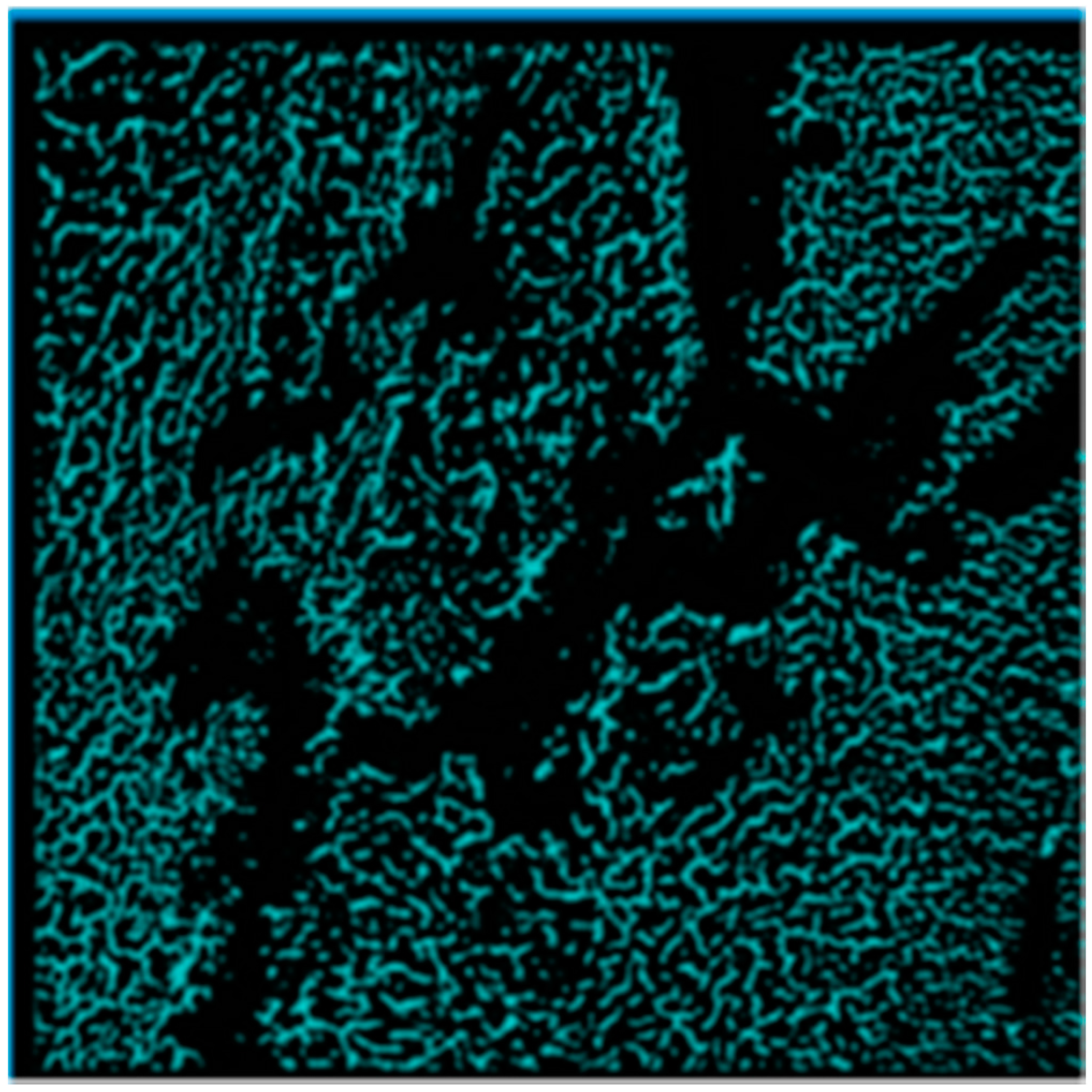 Entropy 19 00161 g006 550