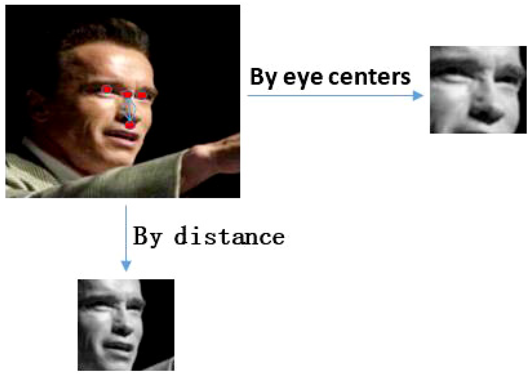 Entropy 19 00228 g007