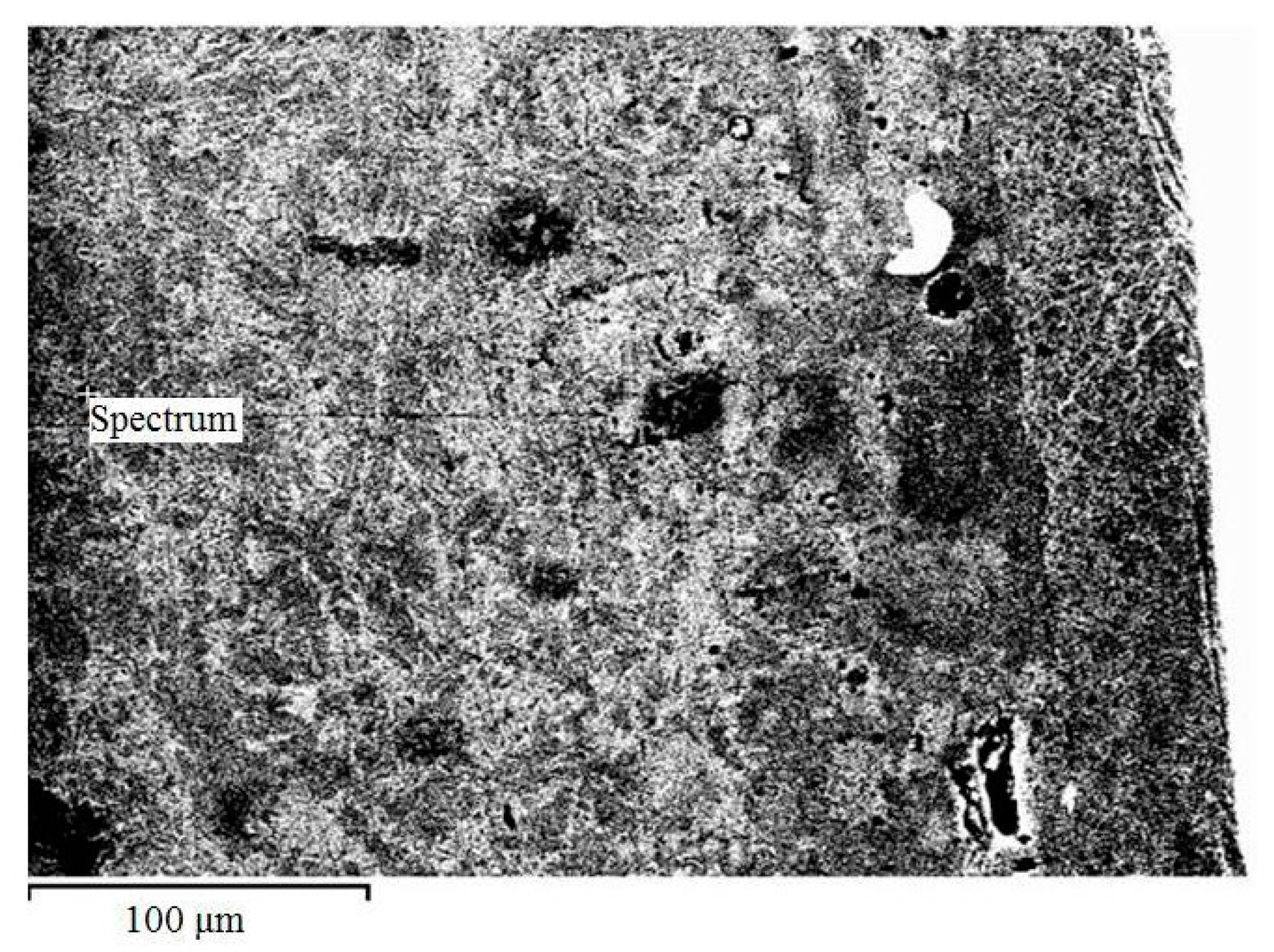 Entropy 19 00386 g005 550