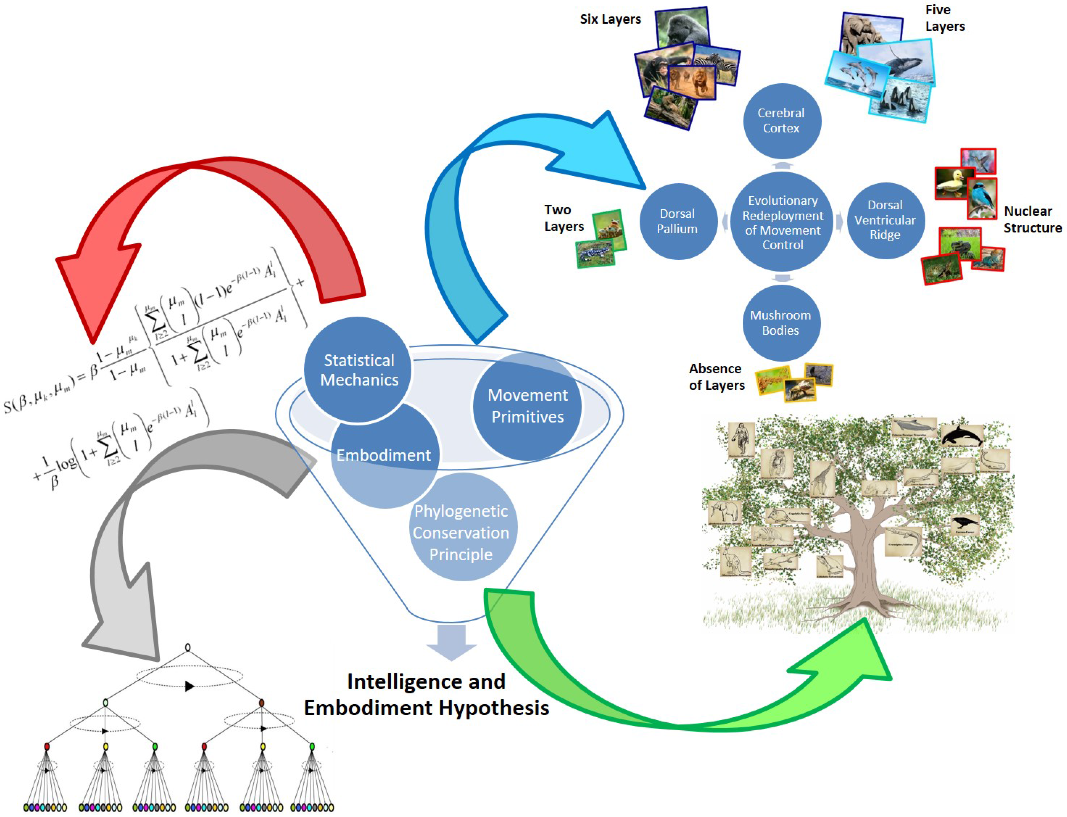 Entropy 19 00543 g001 Entropy 19 00543 g001
