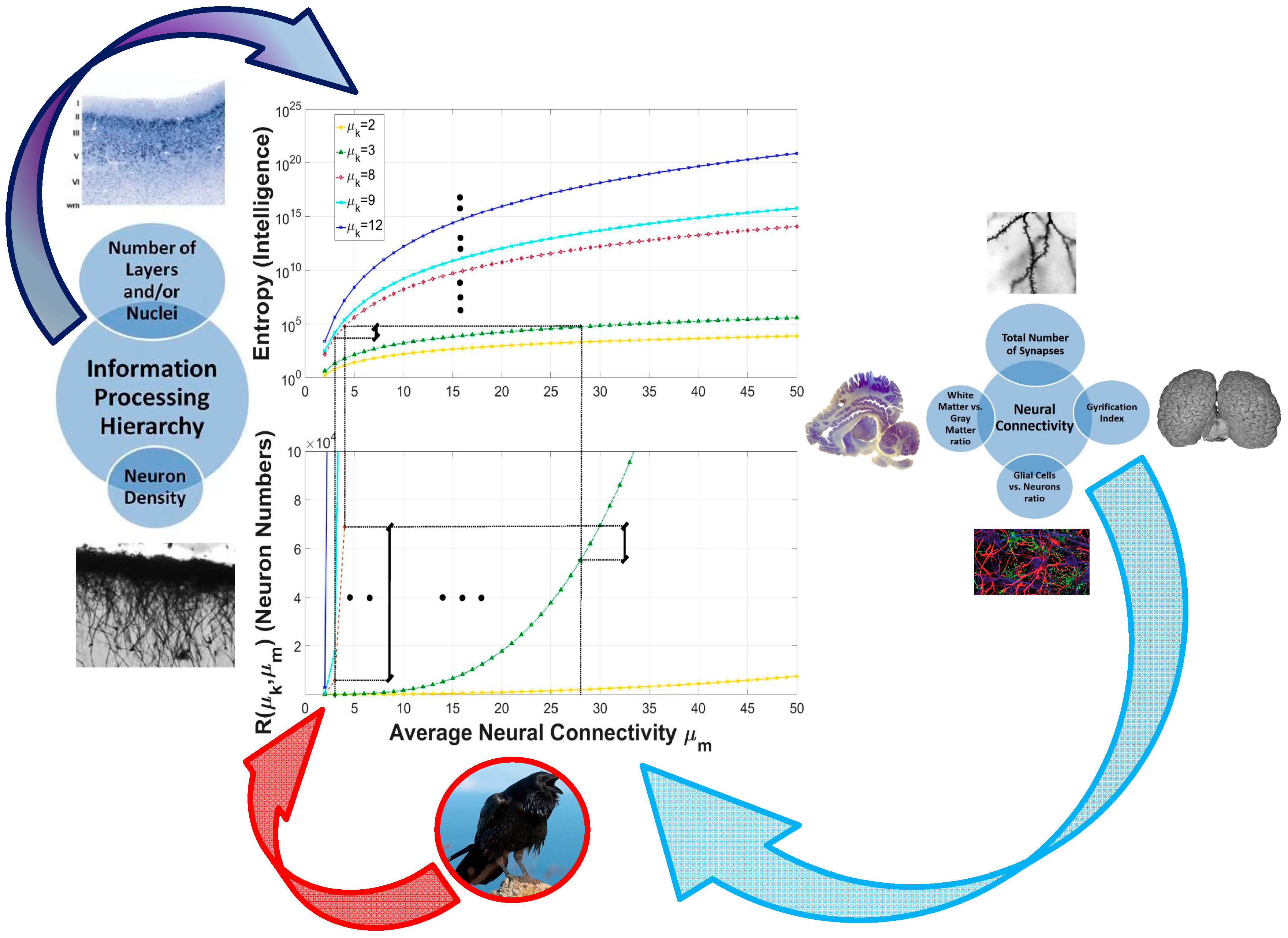 Entropy 19 00543 g004 Entropy 19 00543 g004