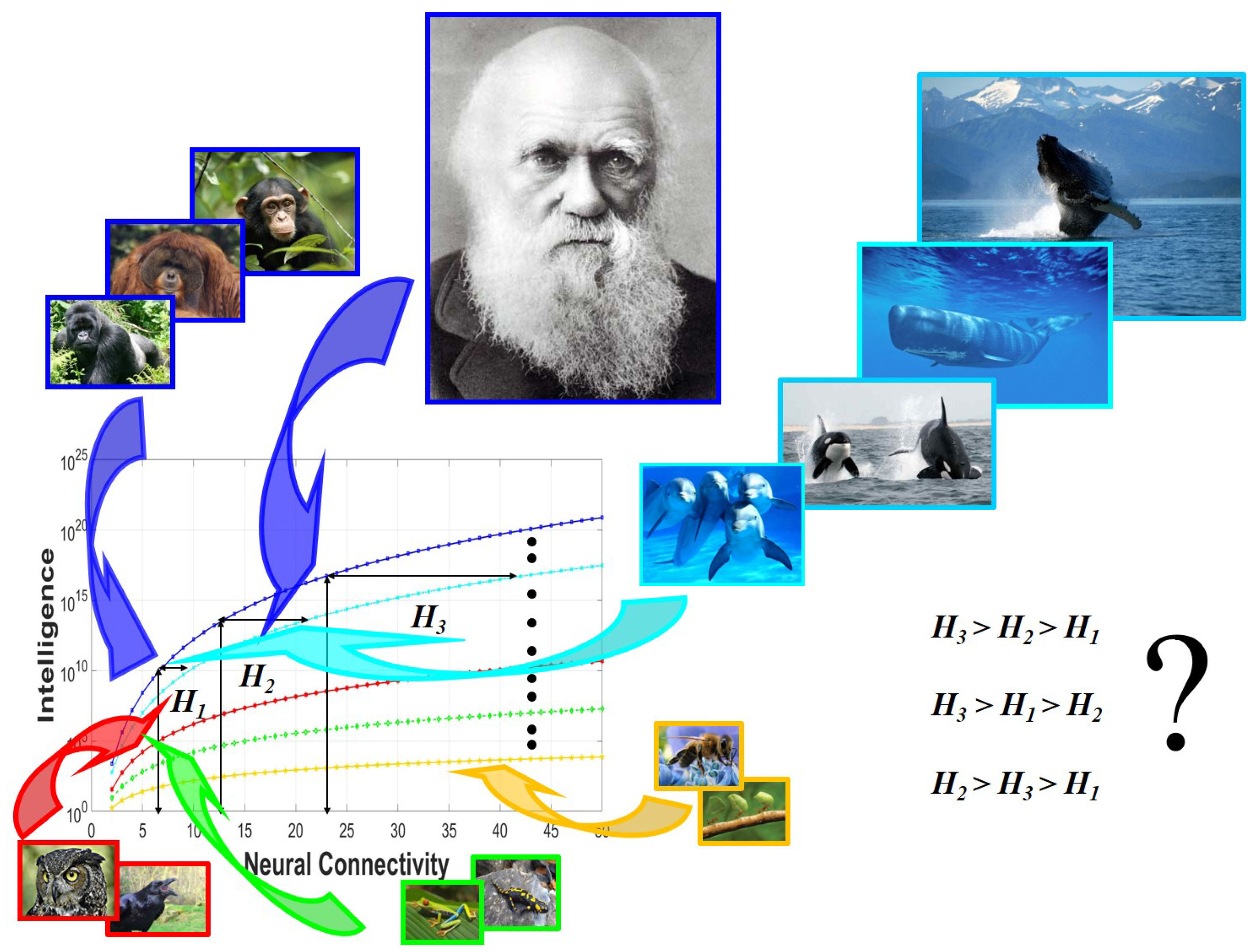 Entropy 19 00543 g005 Entropy 19 00543 g005