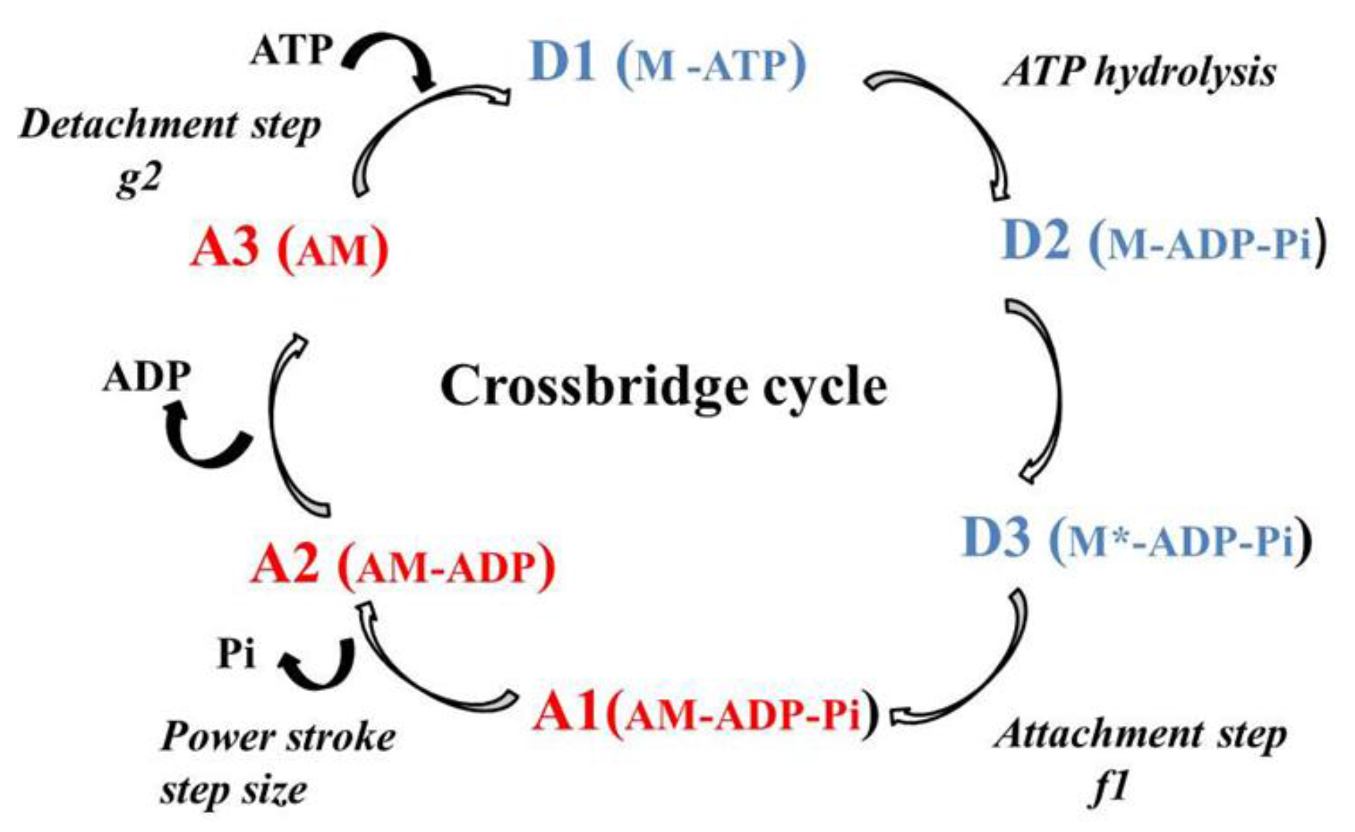 Entropy 19 00558 g002 550