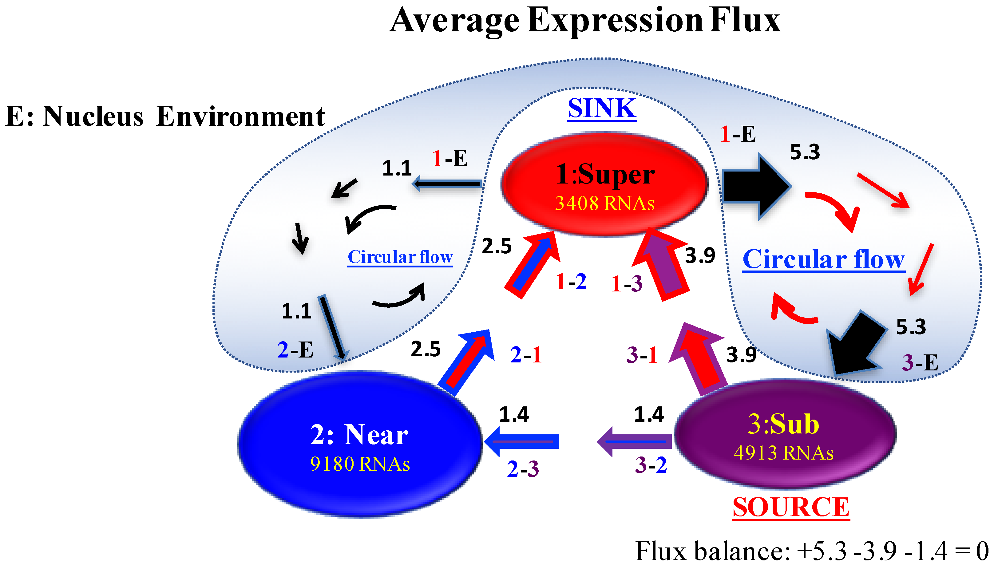 Entropy 19 00584 g006