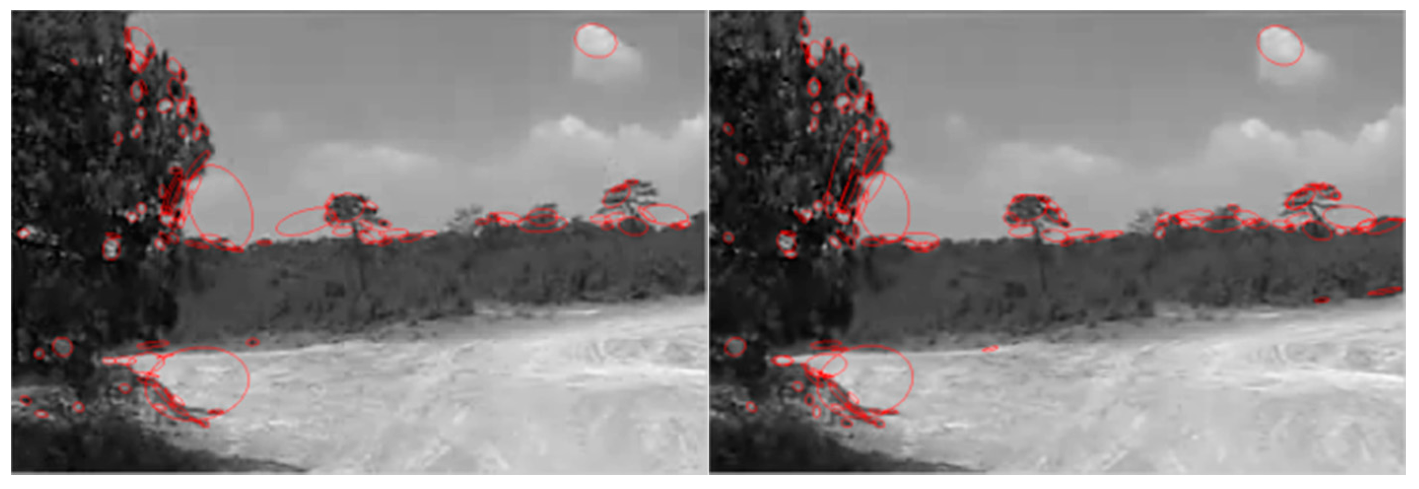 Entropy 19 00623 g002