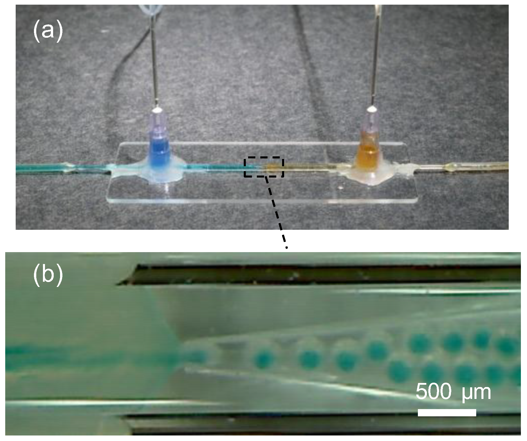 Entropy Free FullText Formation of PhotoResponsive Liquid
