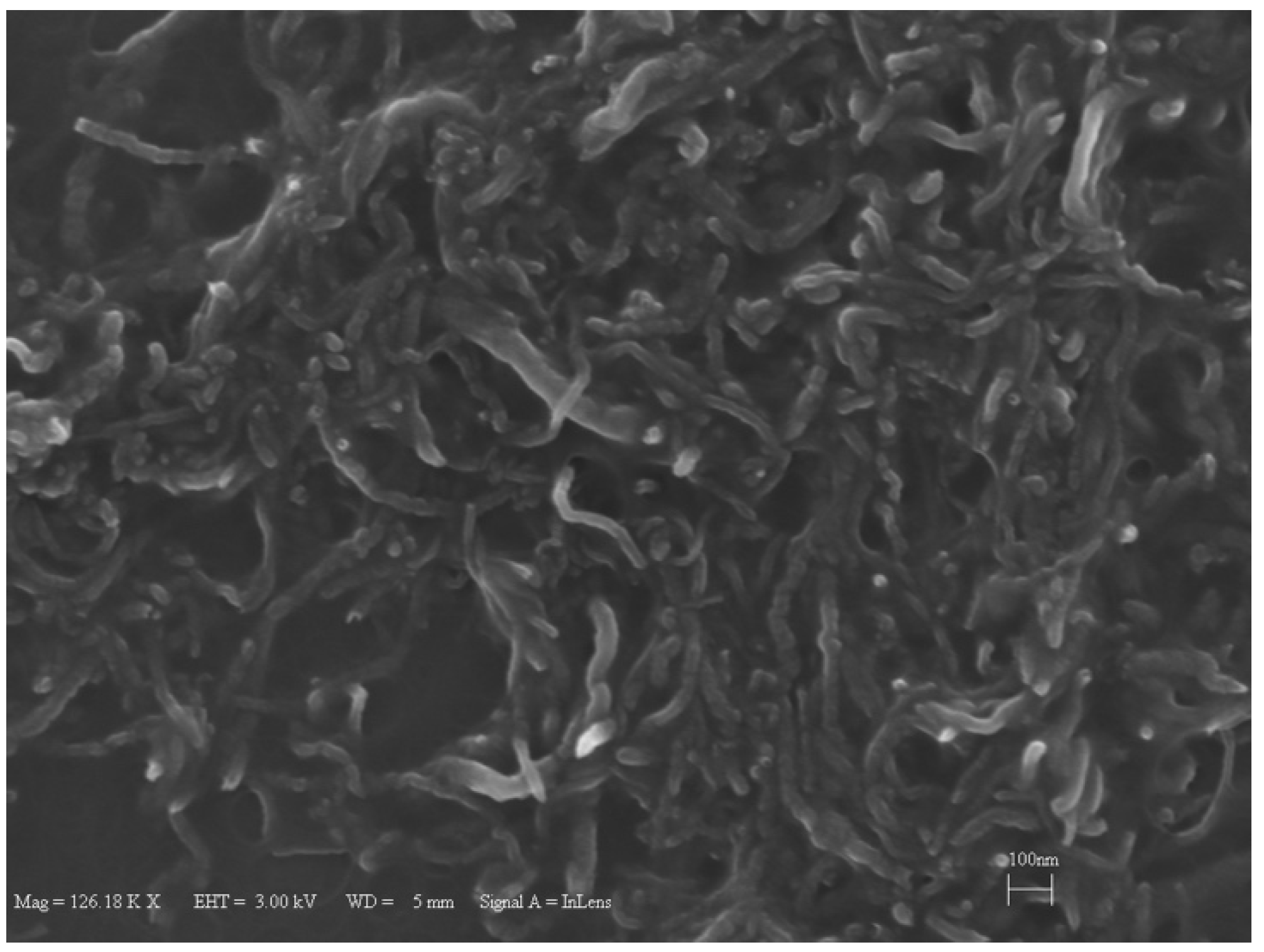 Entropy 20 00242 g001 Entropy 20 00242 g001