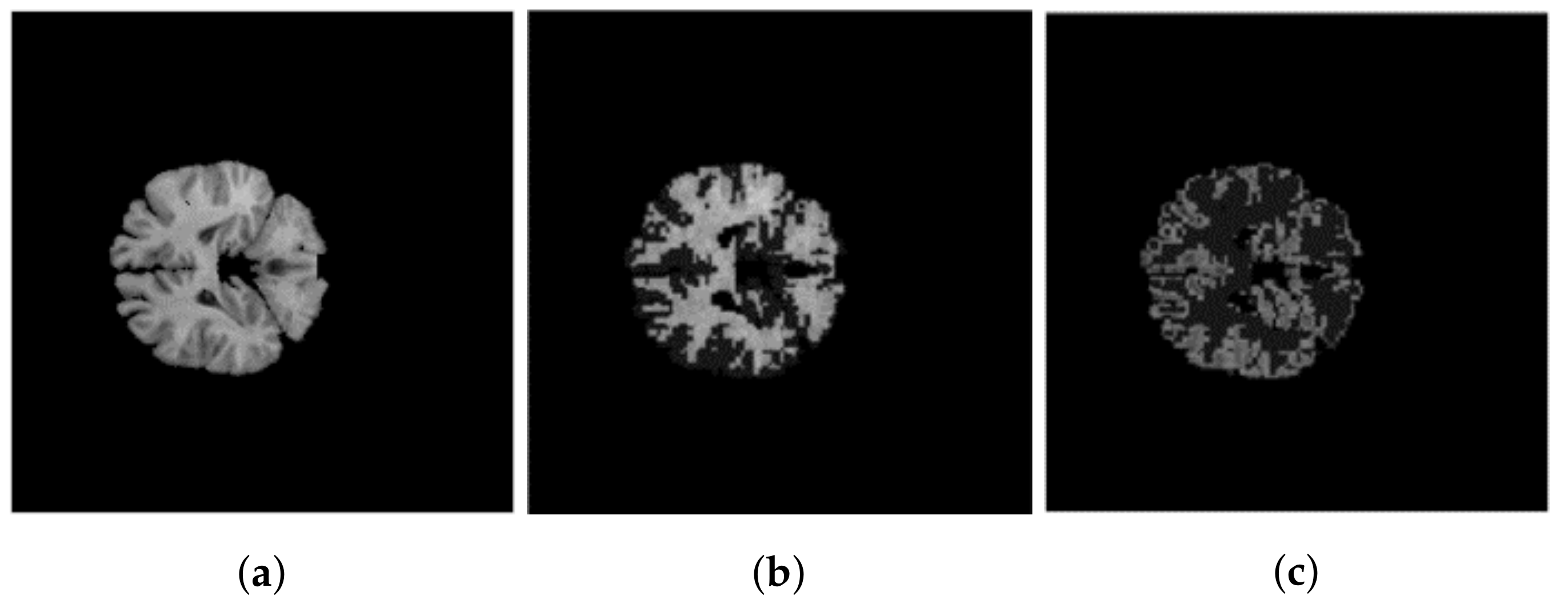 Entropy 20 00273 g007