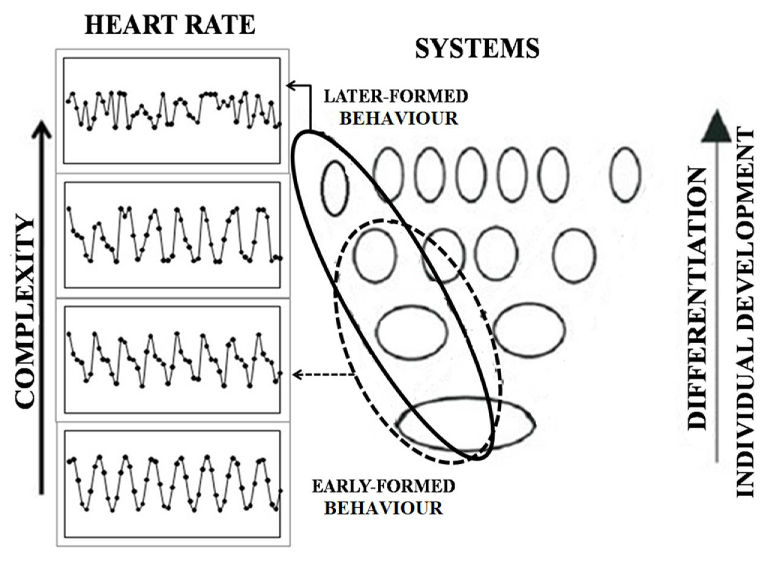 Entropy 20 00449 g011