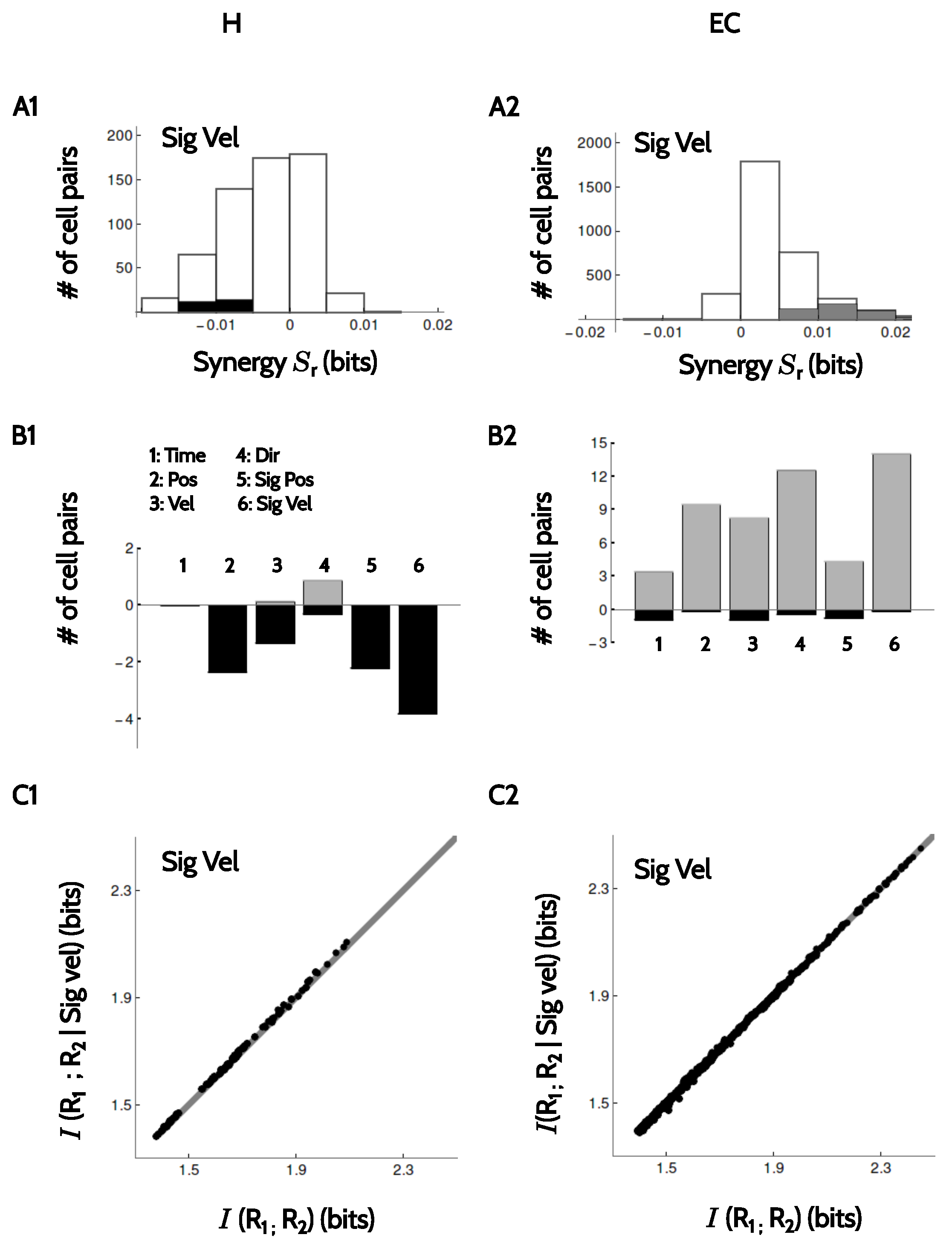 Entropy 20 00571 g008