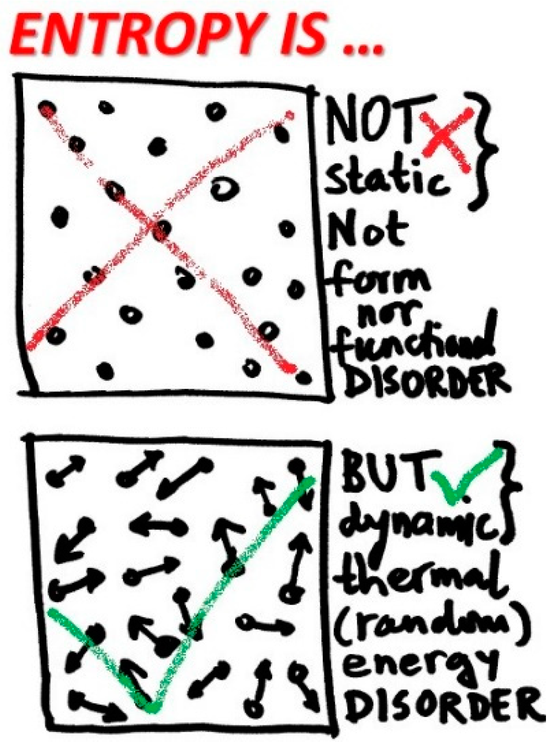 Entropy 20 00584 g004