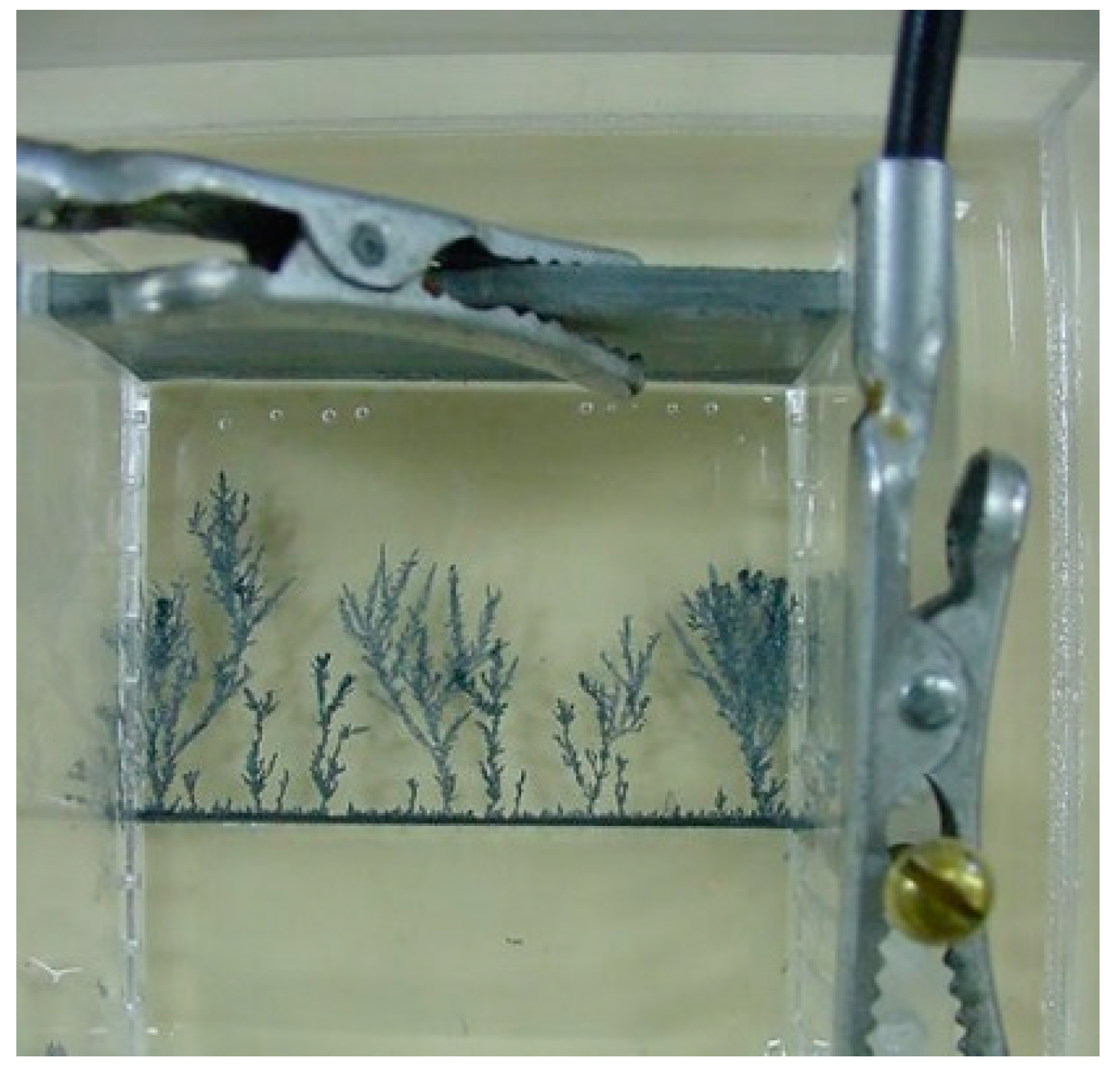 Entropy 20 00643 g002 Entropy 20 00643 g002