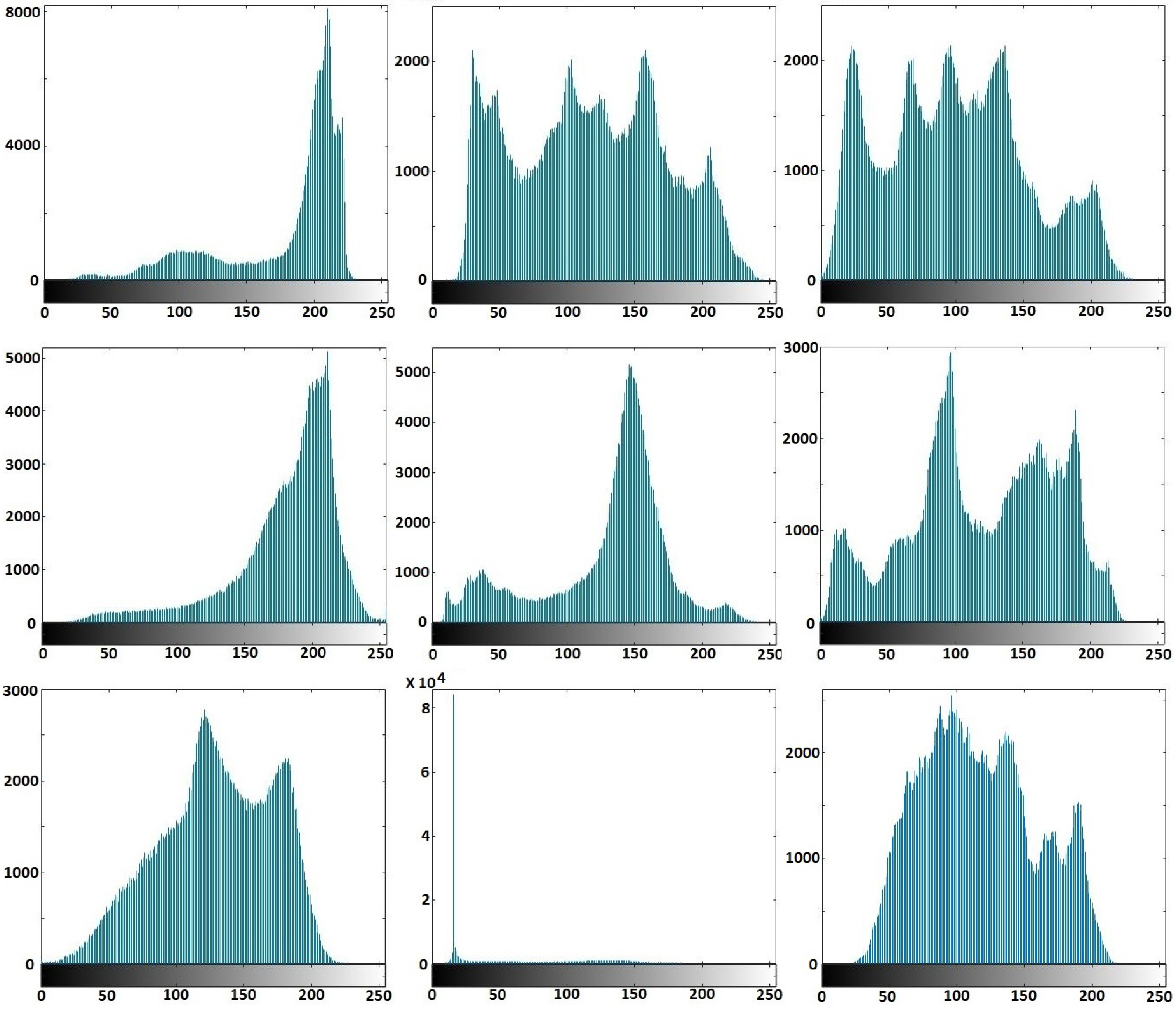 Entropy 20 00801 g017 550