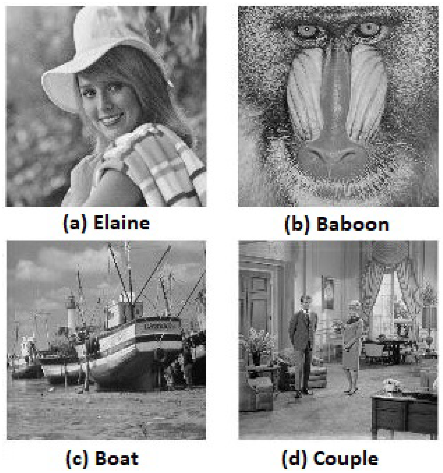 Entropy 20 00801 g019 550