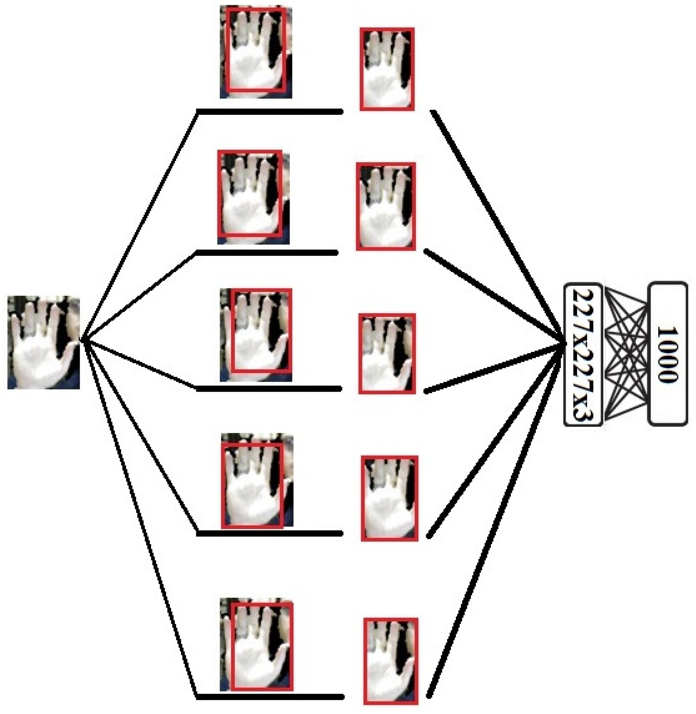 Entropy 20 00809 g009 Entropy 20 00809 g009