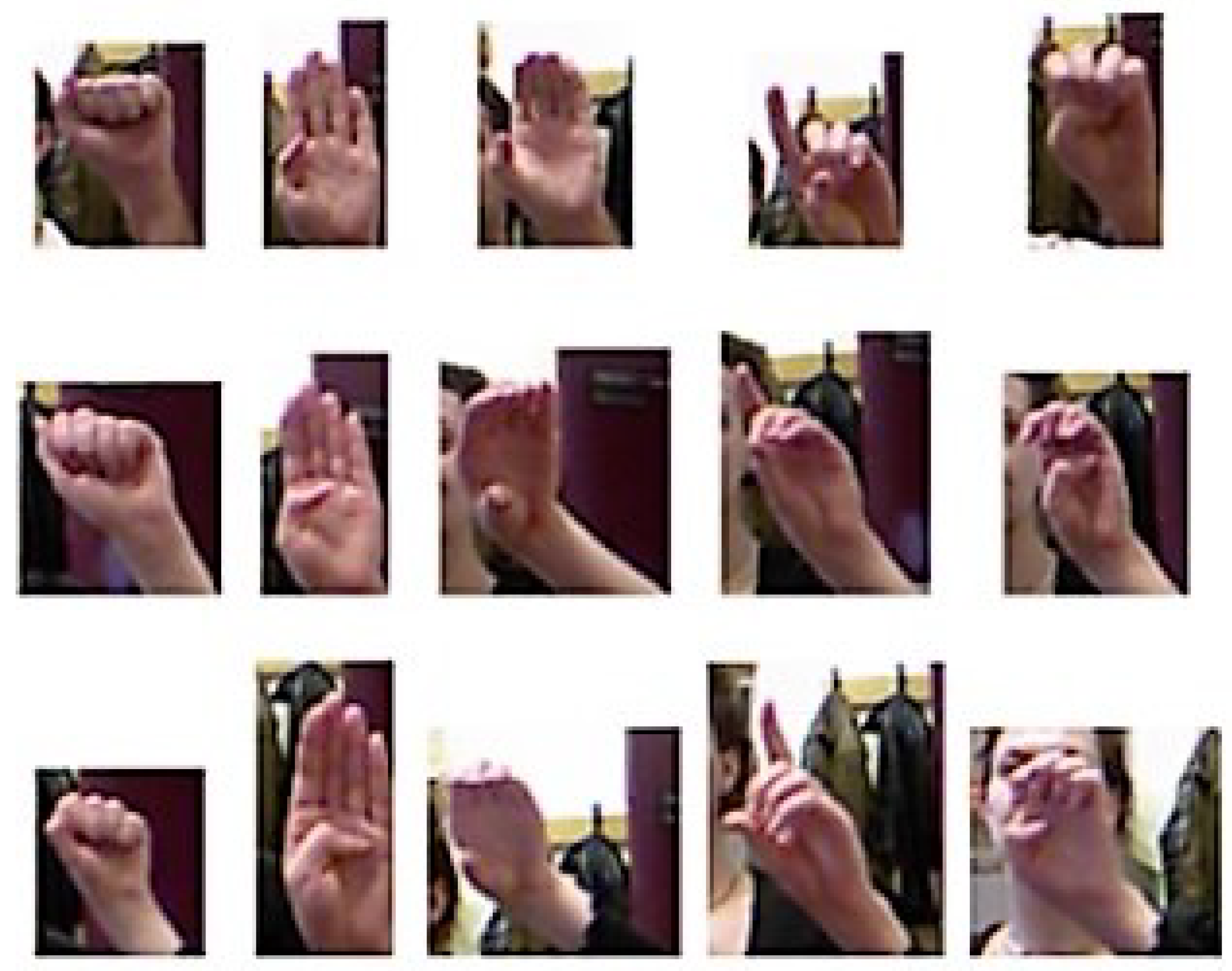 Entropy 20 00809 g011 Entropy 20 00809 g011