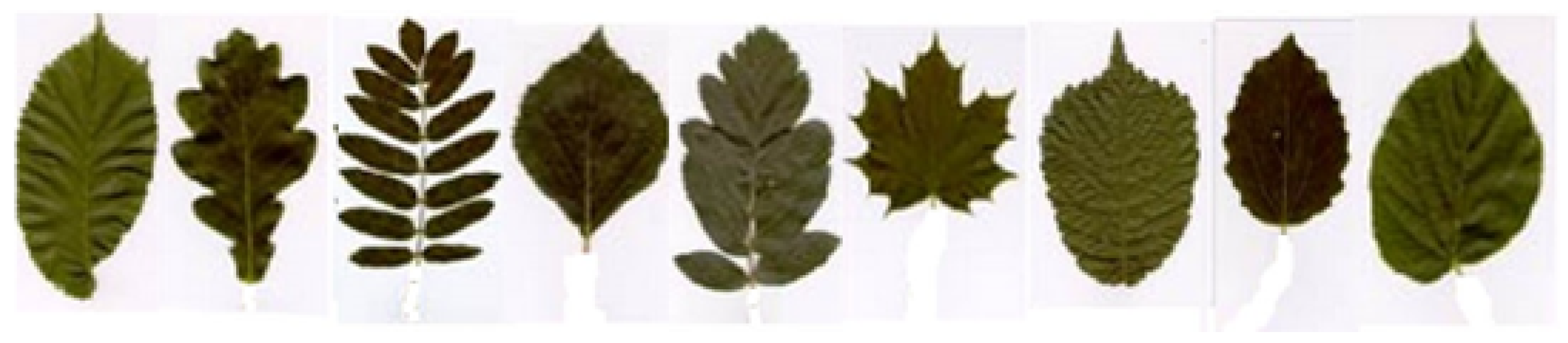 Entropy 20 00830 g007 Entropy 20 00830 g007