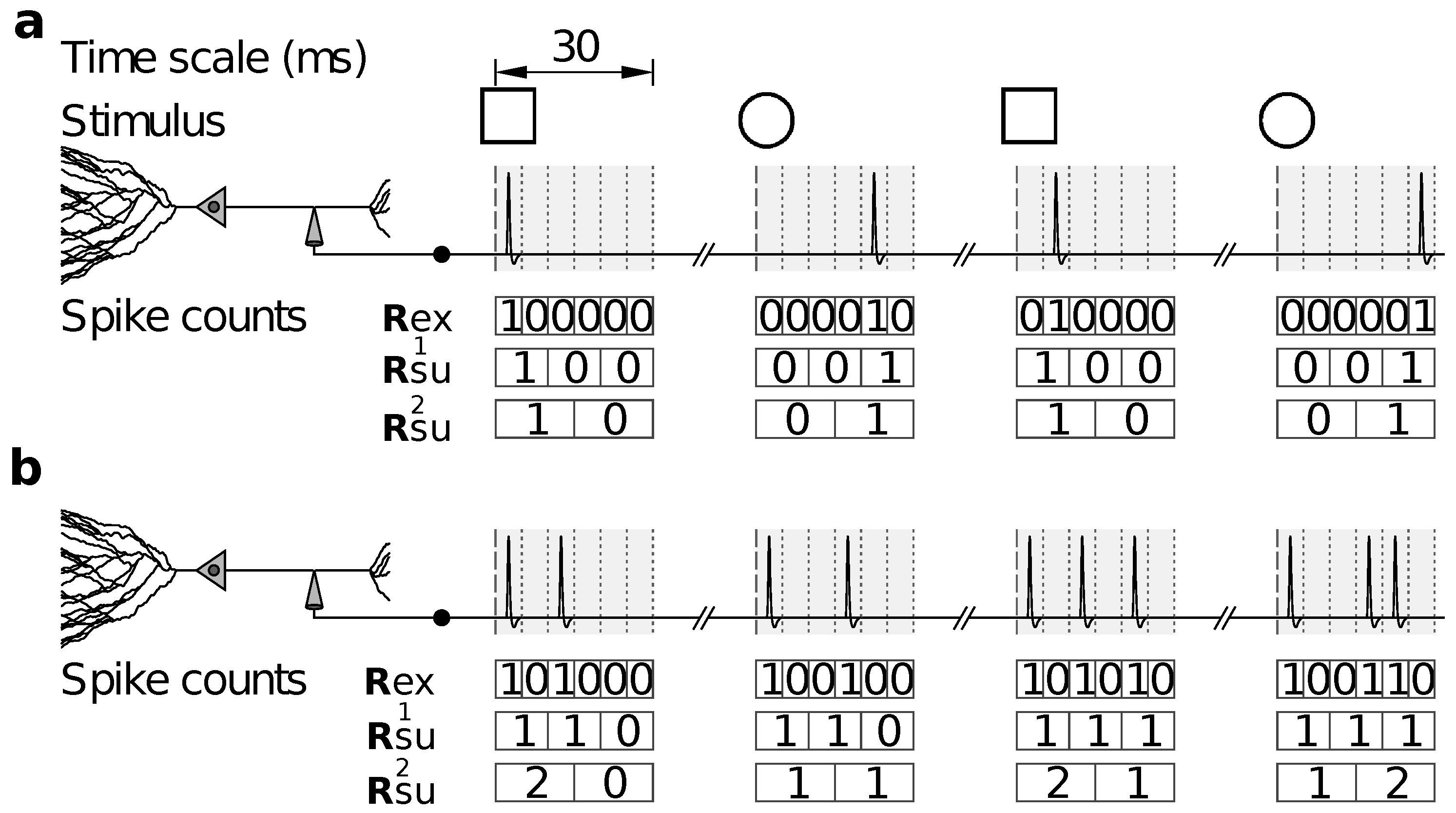 Entropy 20 00879 g001
