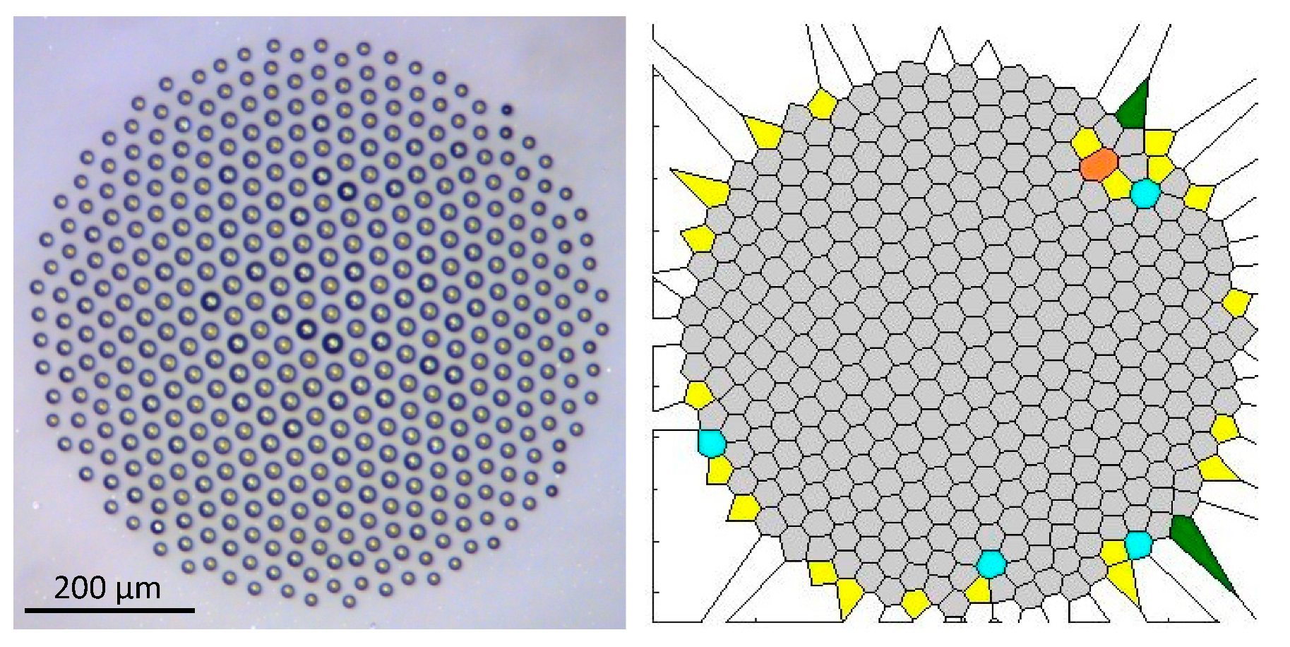 Entropy 20 00956 g007 Entropy 20 00956 g007