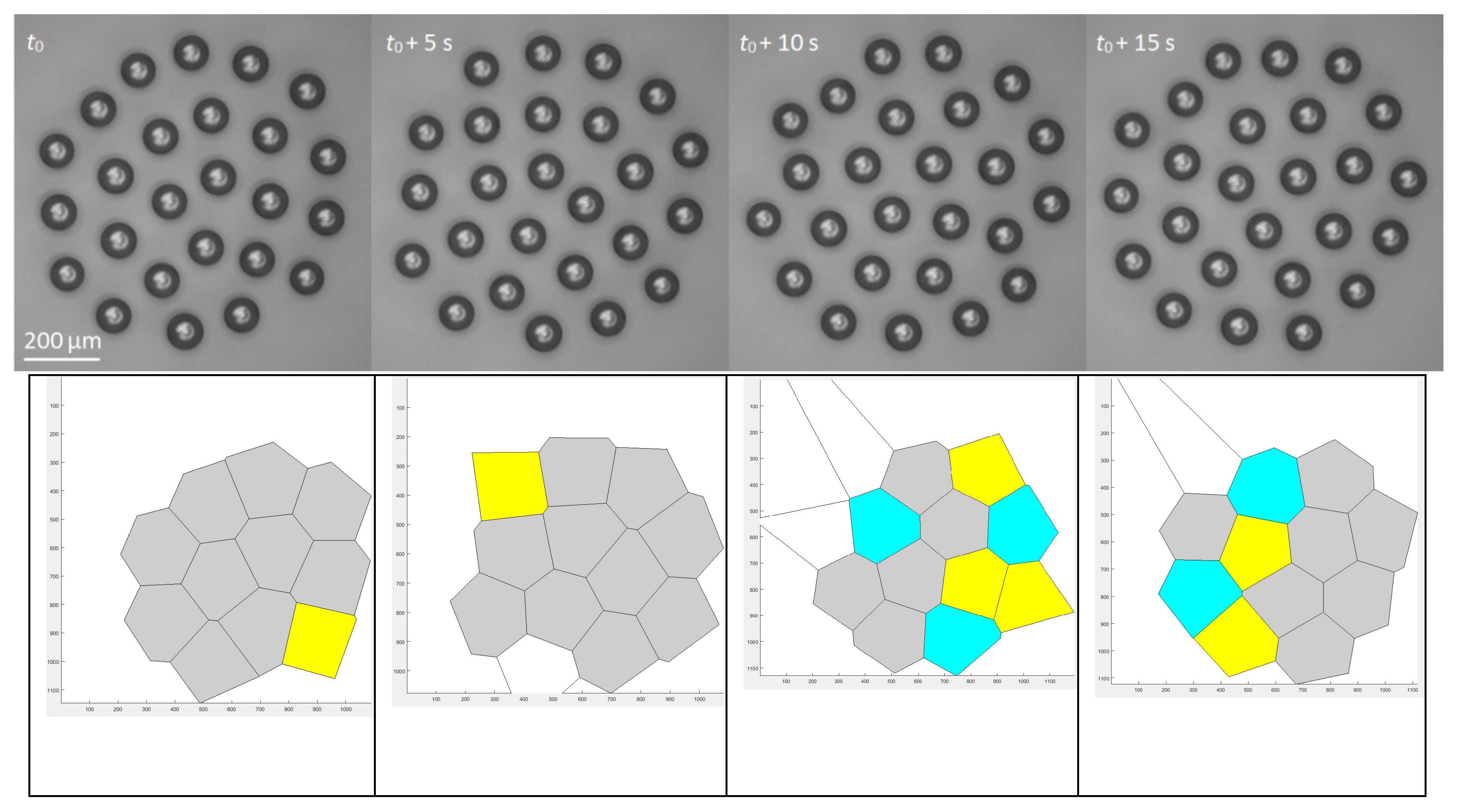 Entropy Free Full Text Characterization Of Self Assembled 2d Patterns With Voronoi Entropy Html