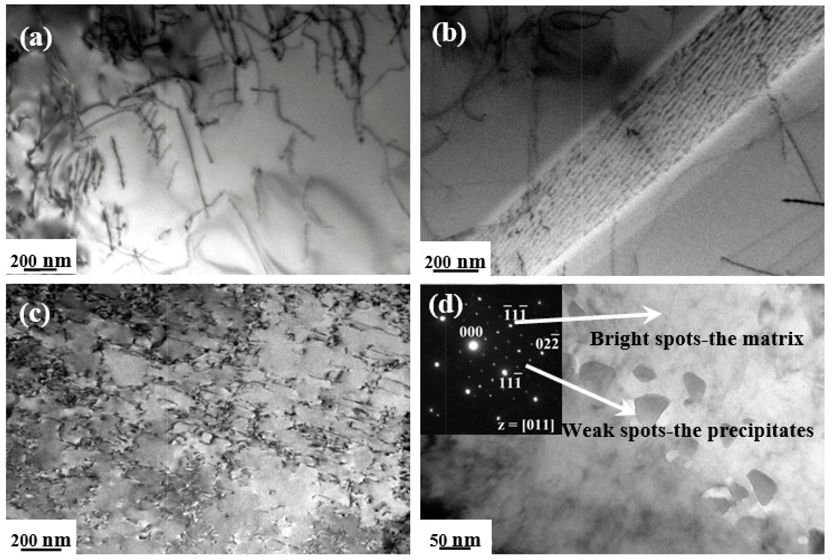 Entropy 20 00960 g007