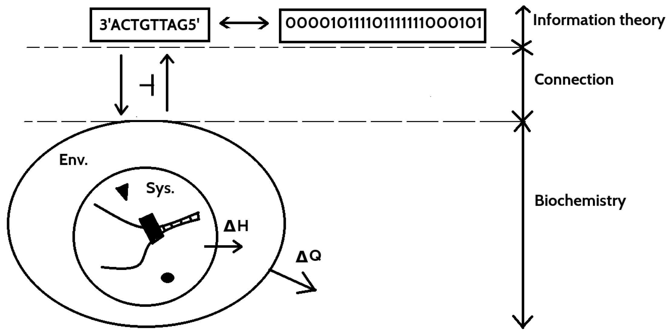Entropy 20 00971 g003