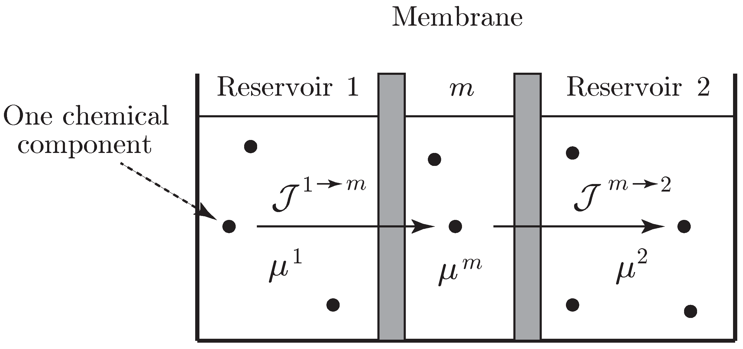 Entropy 21 00008 g003 Entropy 21 00008 g003