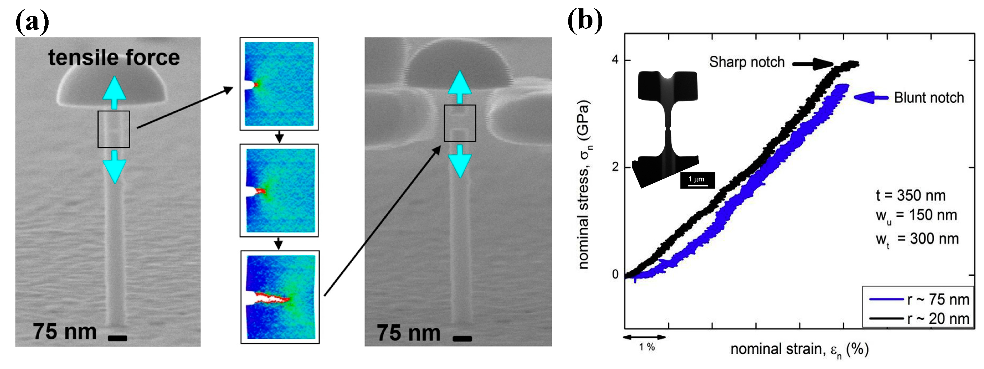Entropy 21 00054 g009 Entropy 21 00054 g009