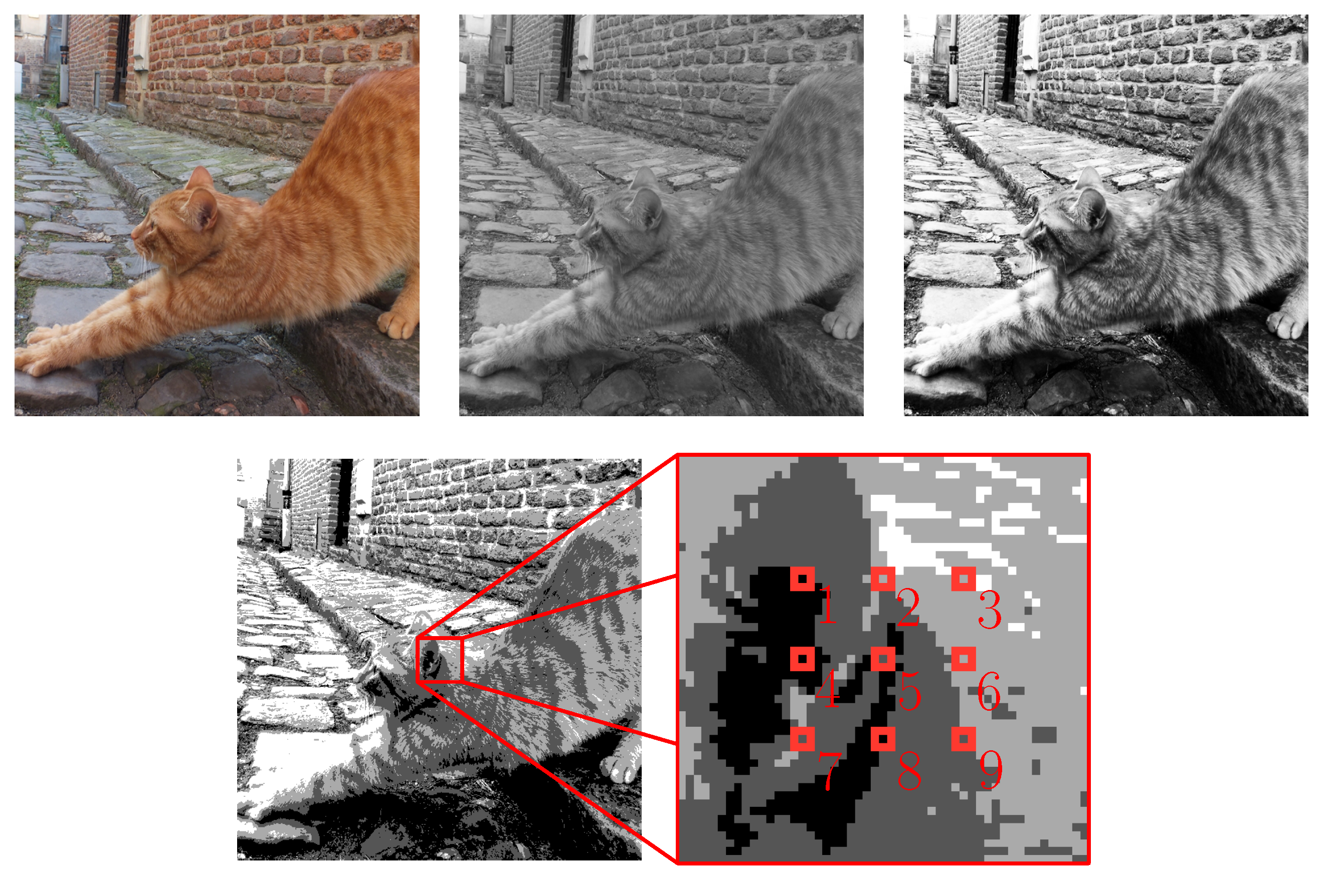 Entropy 21 00060 g001